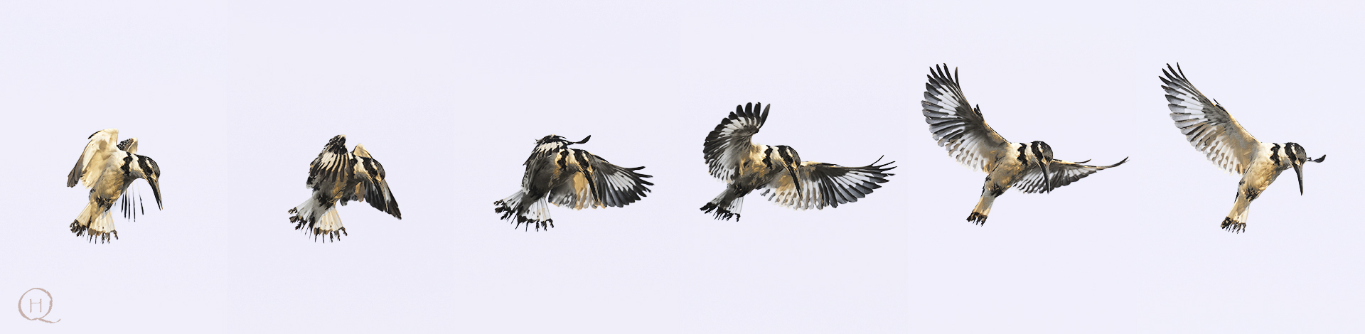 La preghiera del Martino Pied