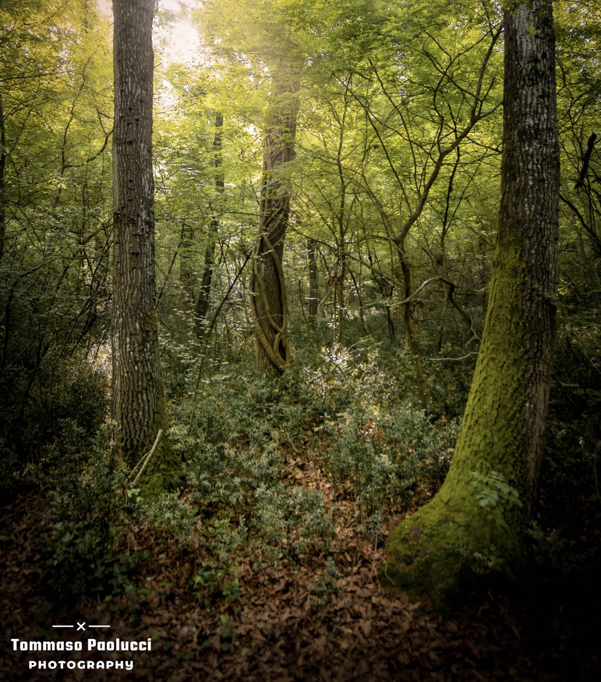 Abbadia di fiastra 3