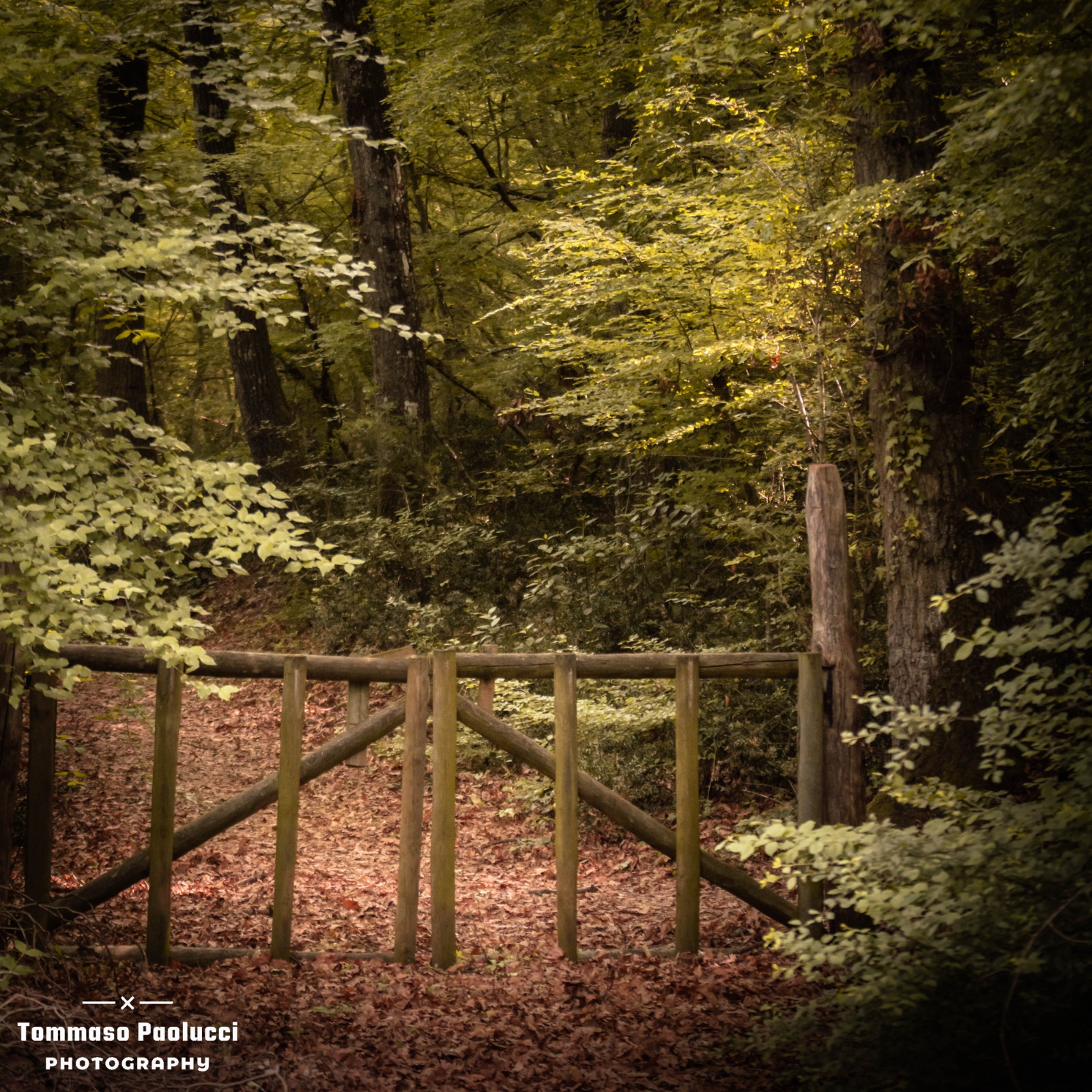 Abbadia di fiastra 4