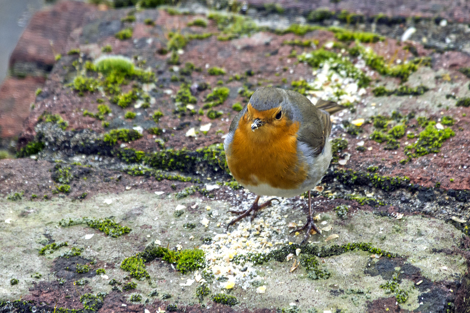 ....da domani dieta!!!!