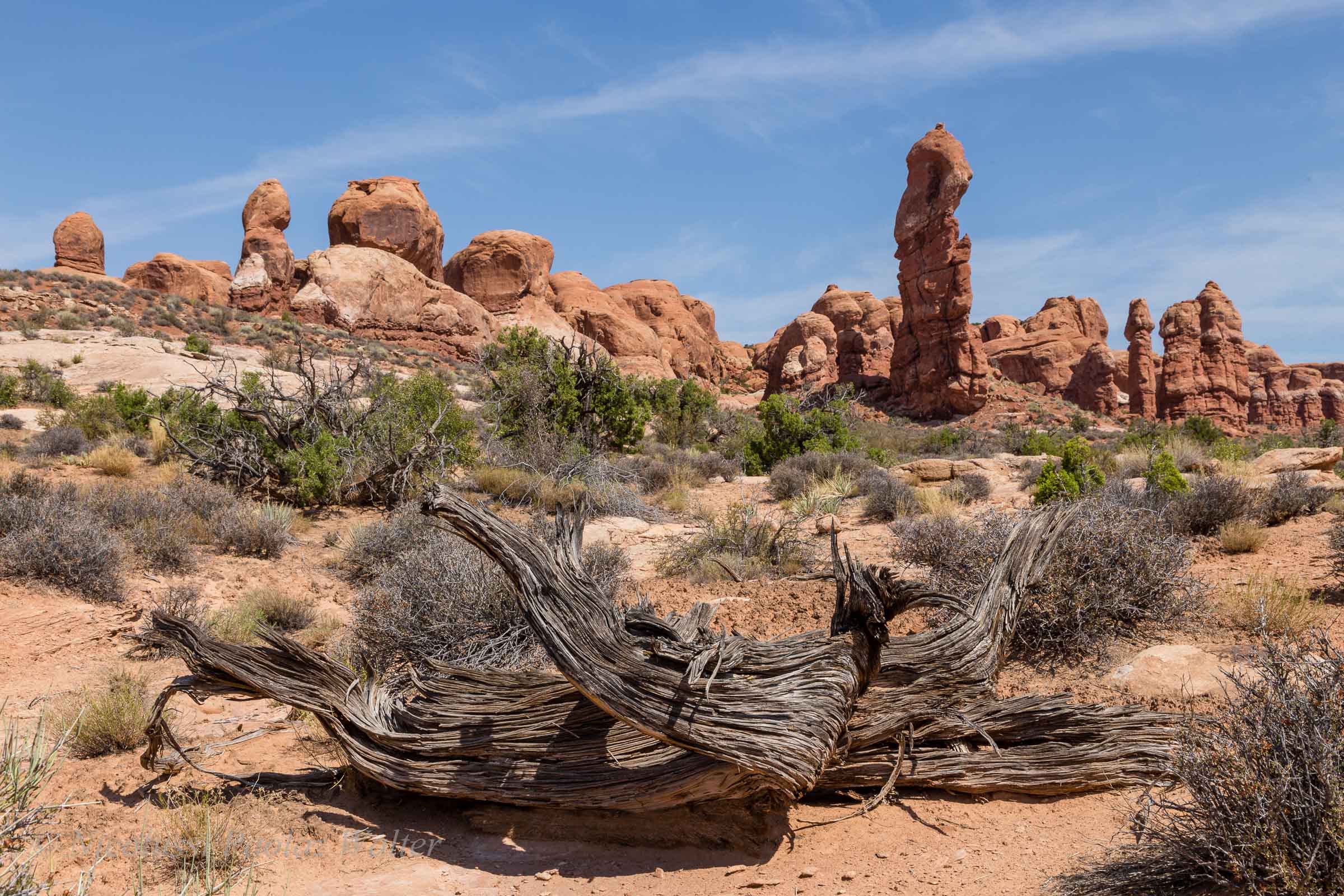Arches National Park, California