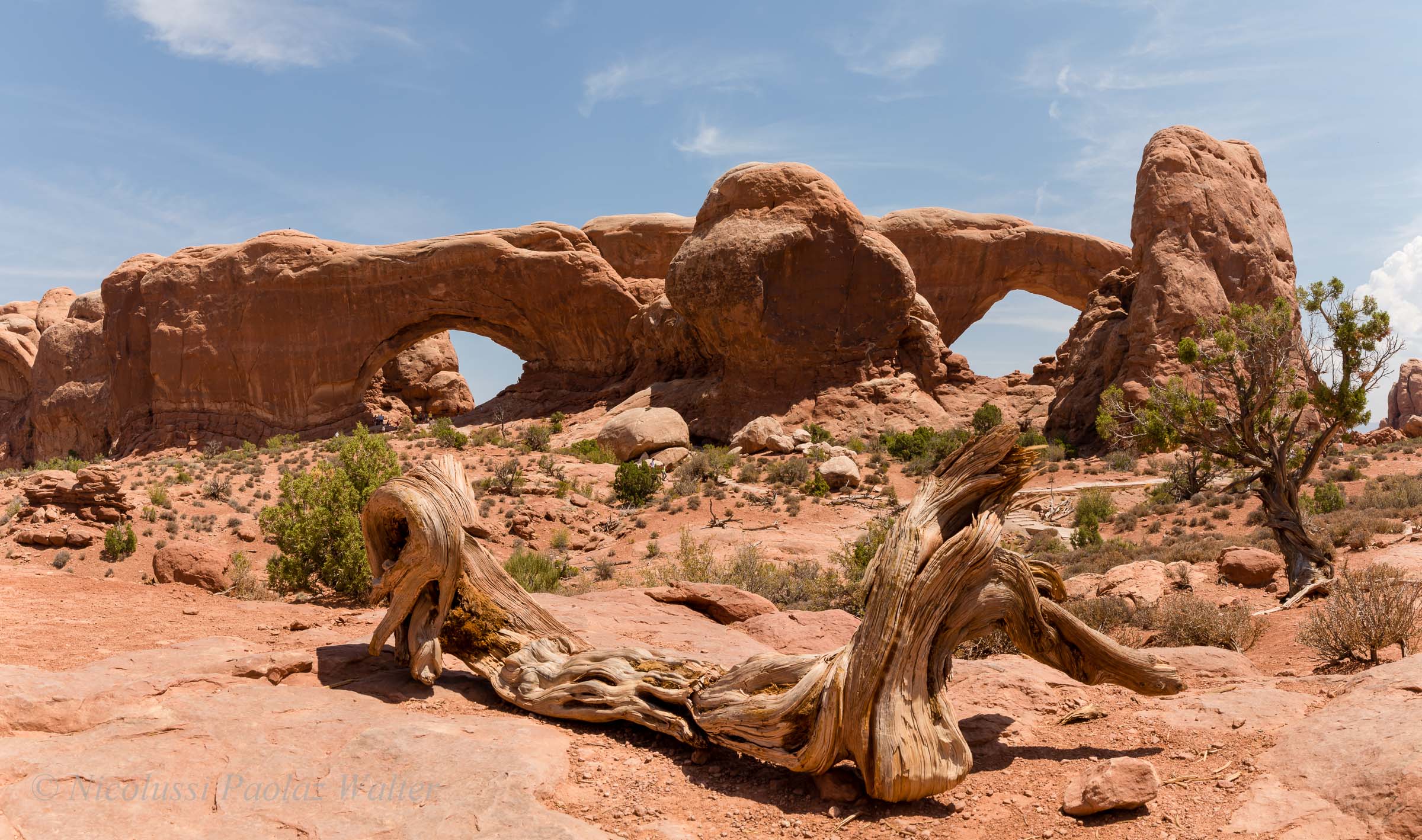 North & South Window