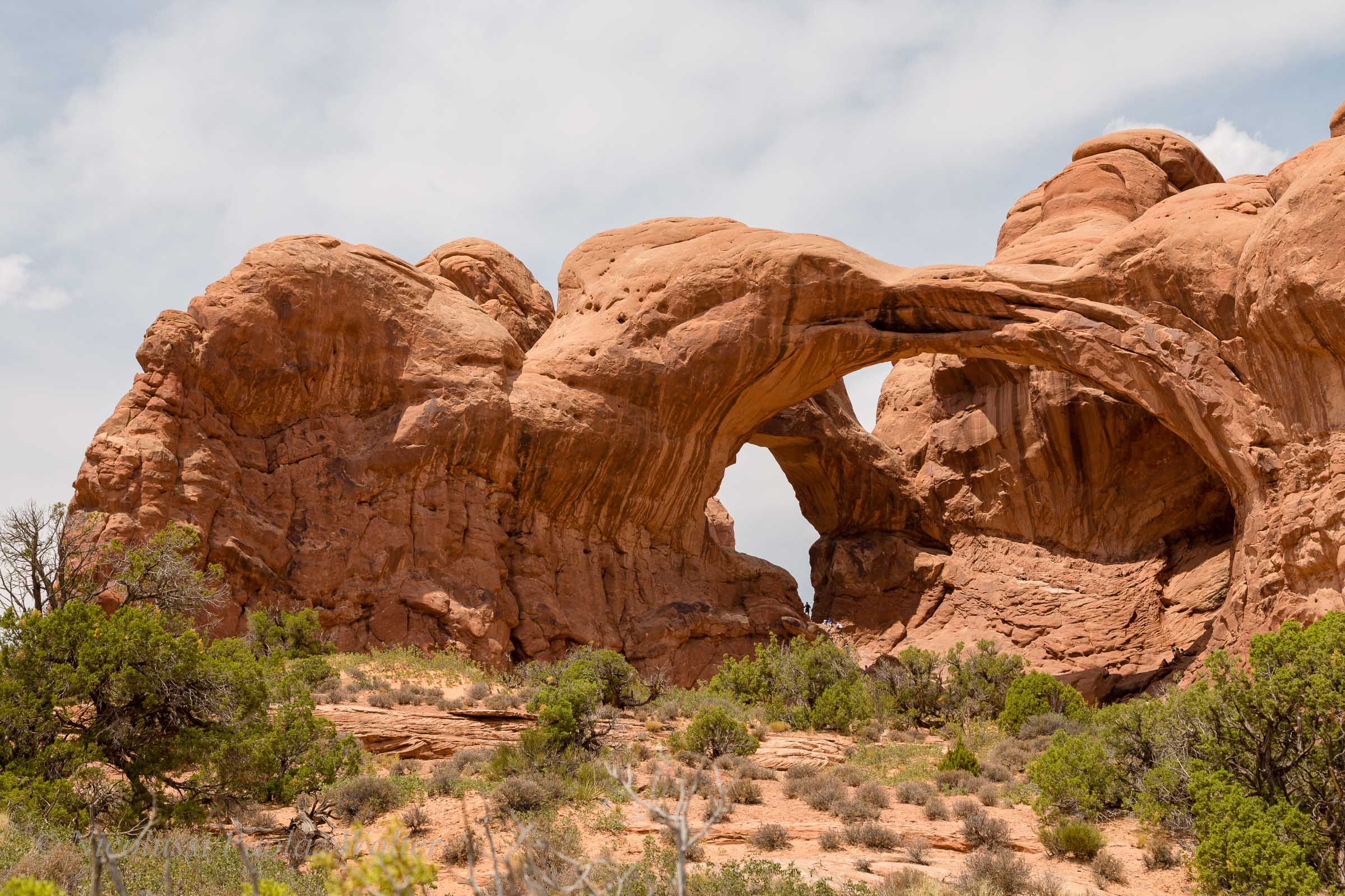 Double Arch, New
