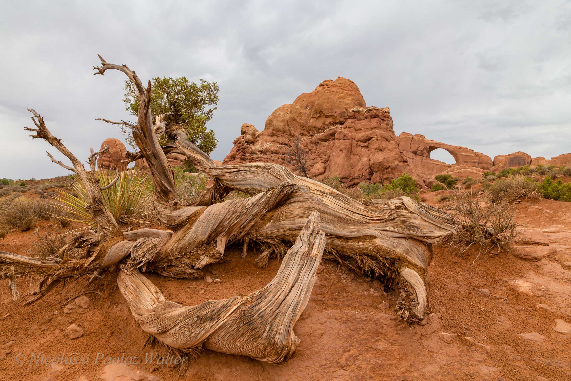 Arches National Park, California