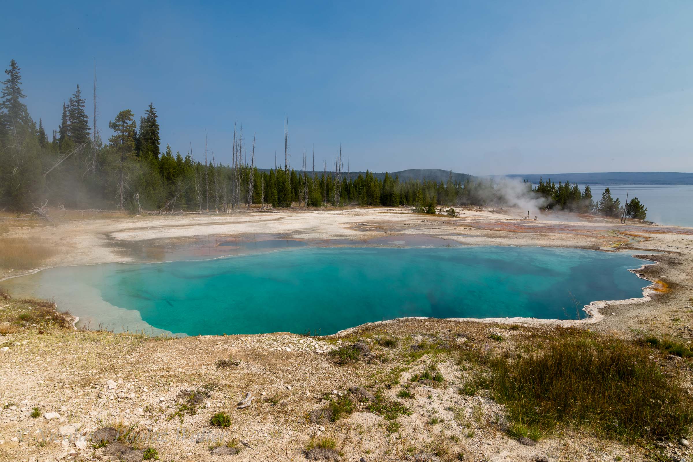 West Thumb Geyser Basin