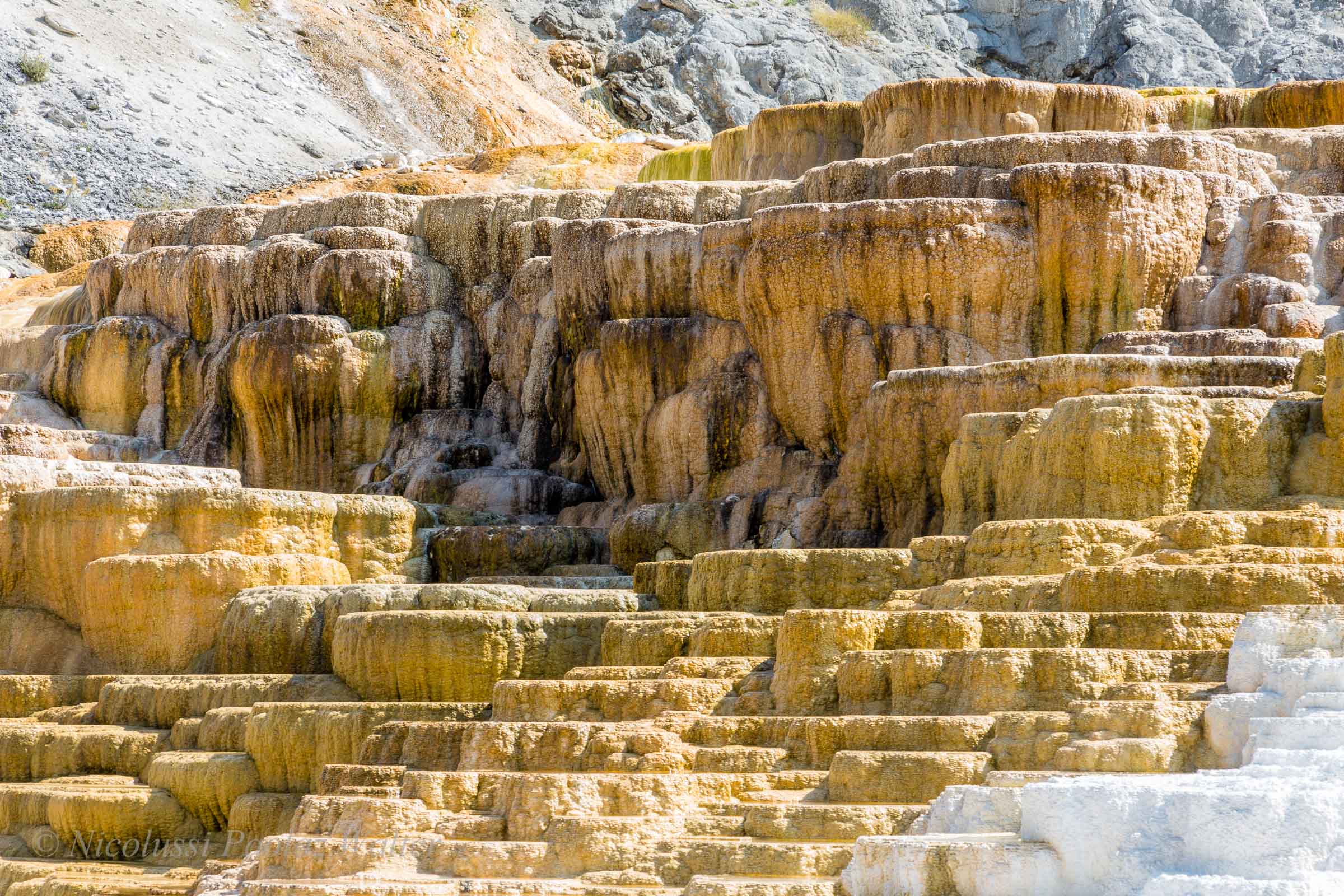 Mammoth Hot Springs