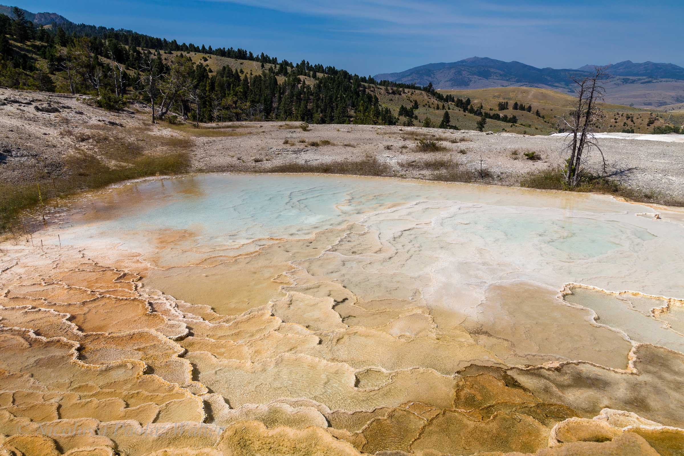 Mammoth Hot Springs