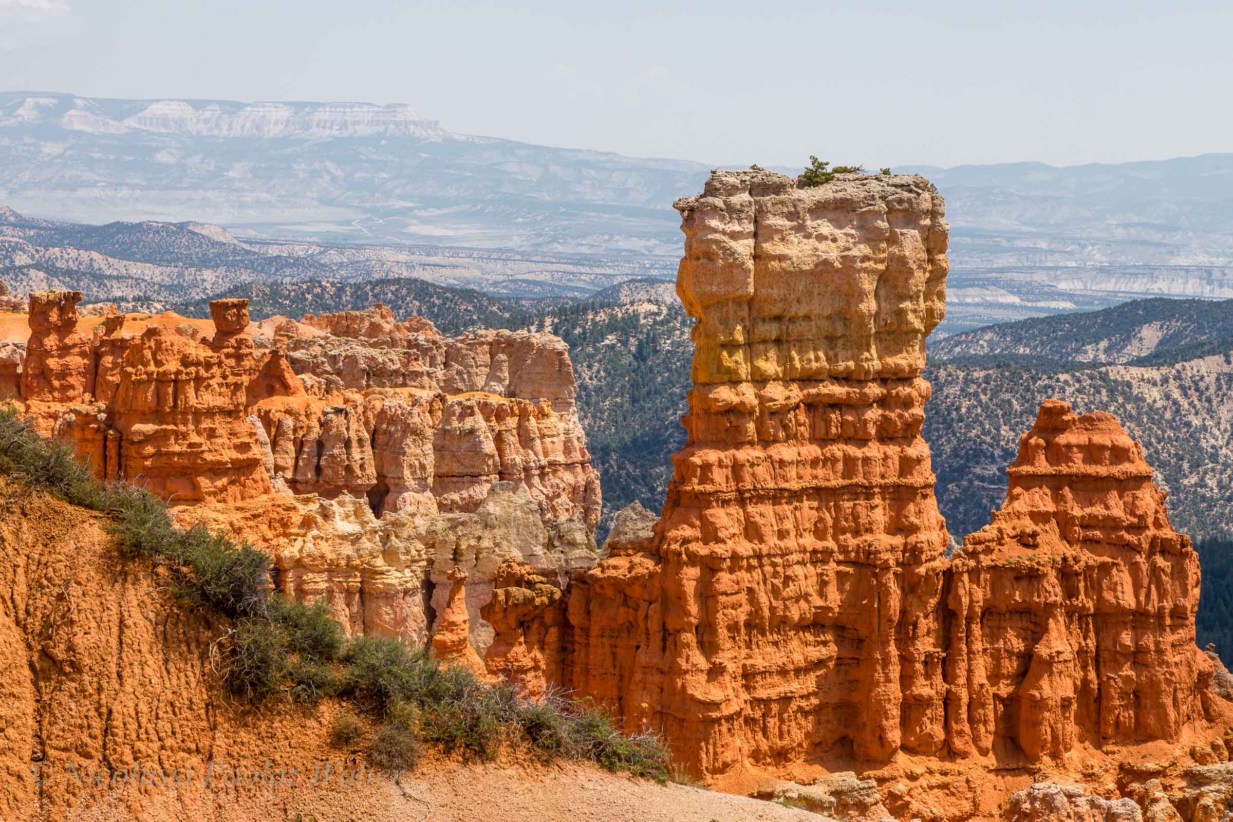 Agua Canyon, New100145