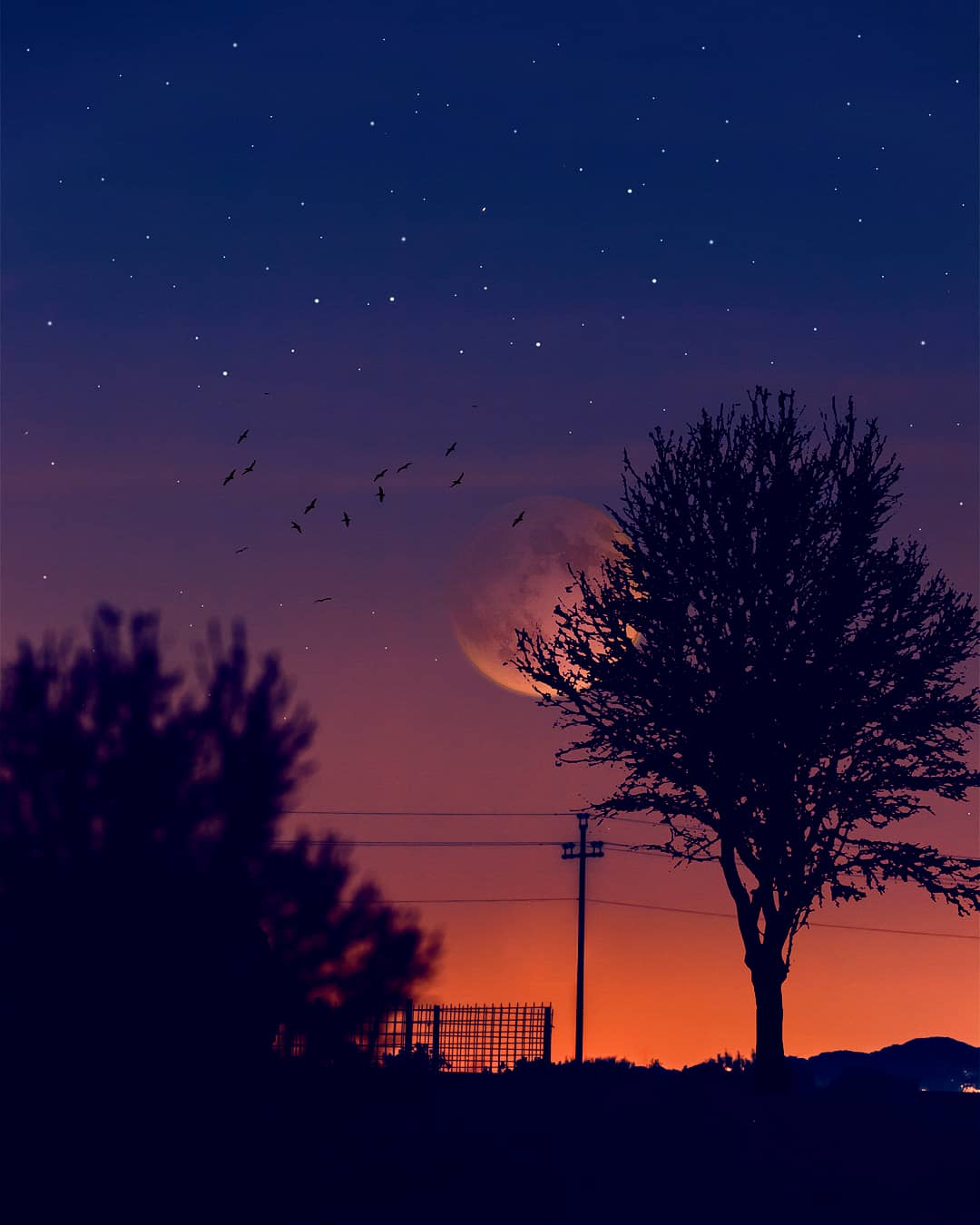 Composition (IG Resolution)