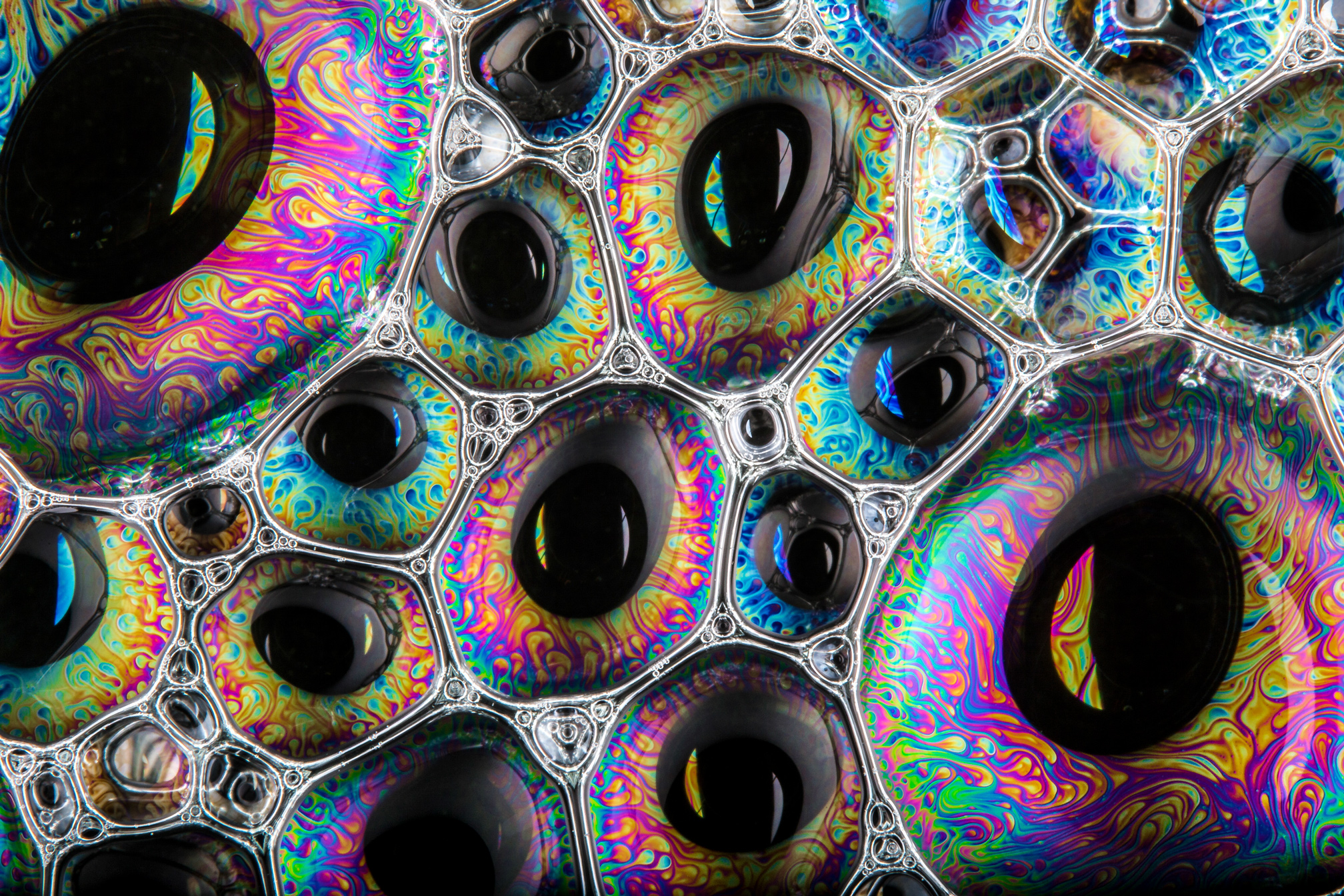 The Bubbles is magical