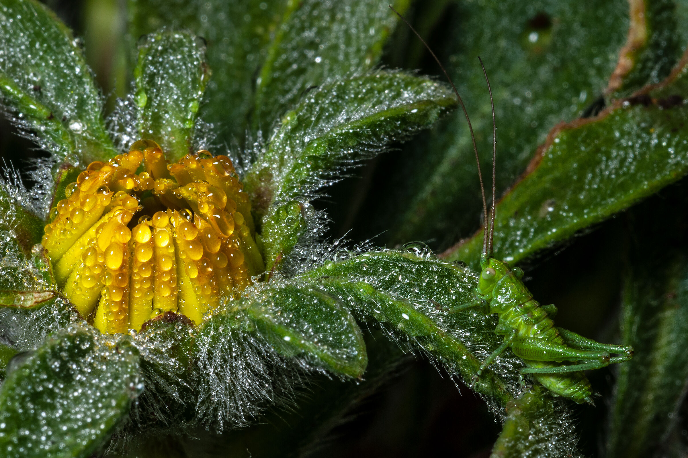 Early in the morning.