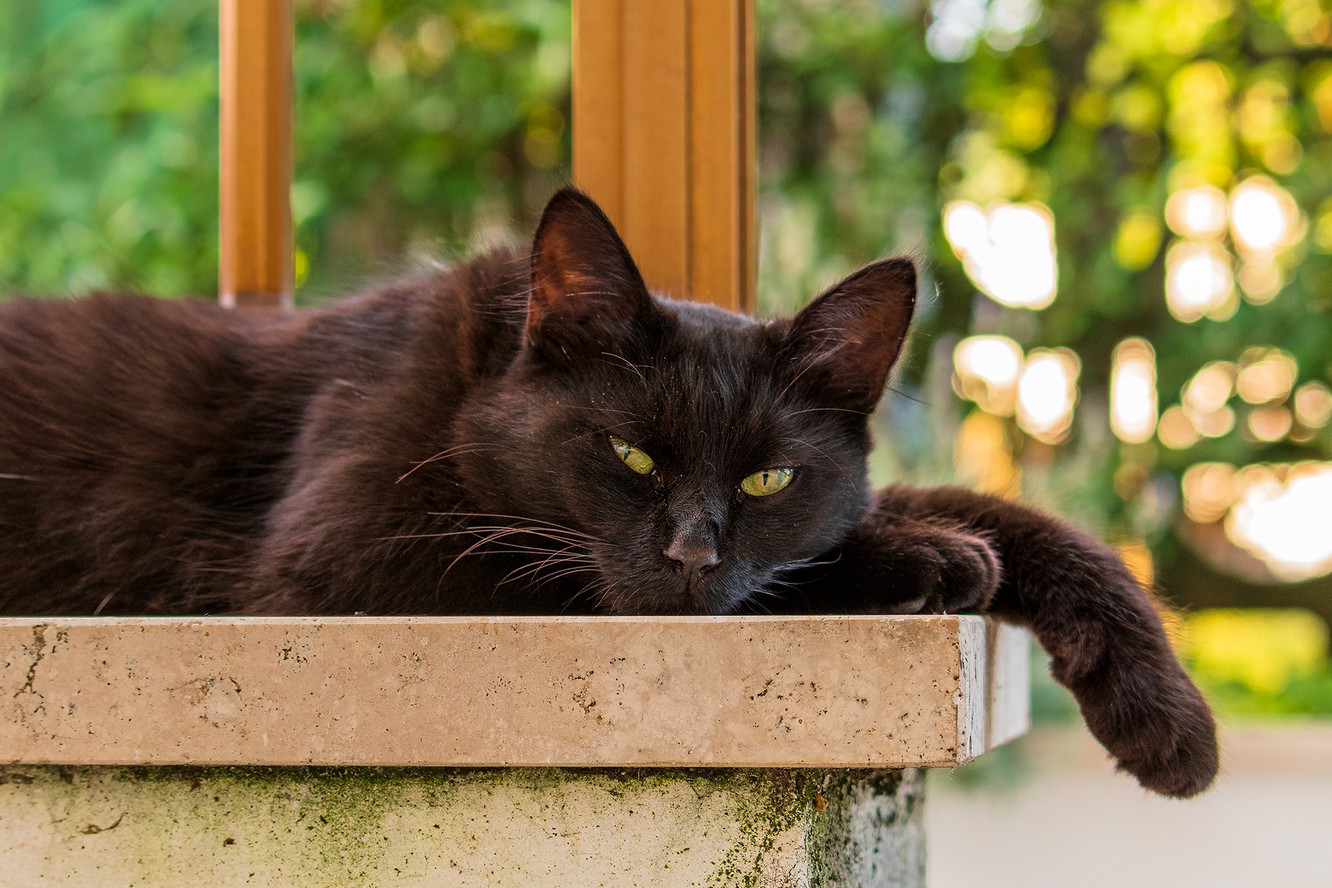 Titty... Where did you go?