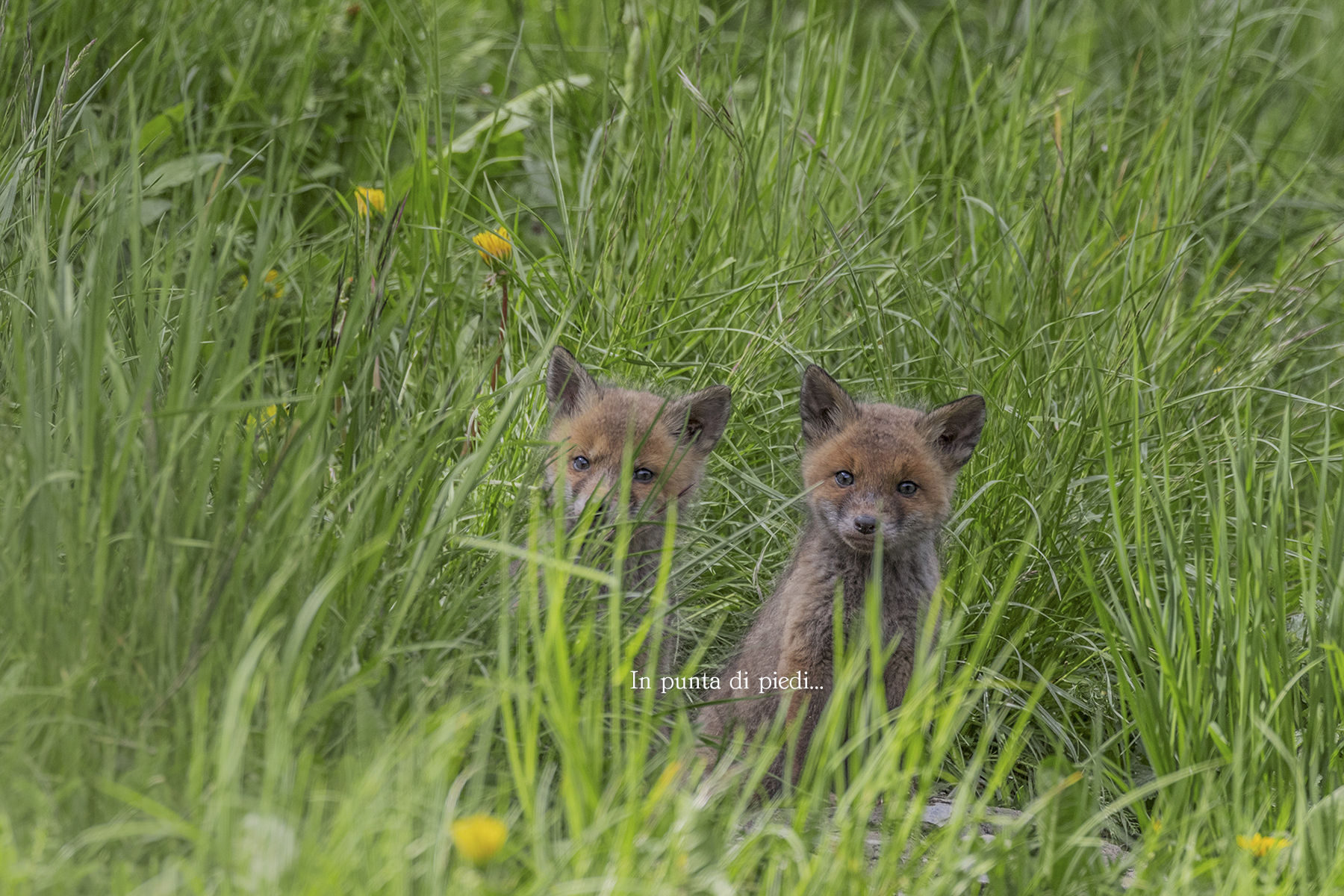 When Nature performs it leaves you breathless...