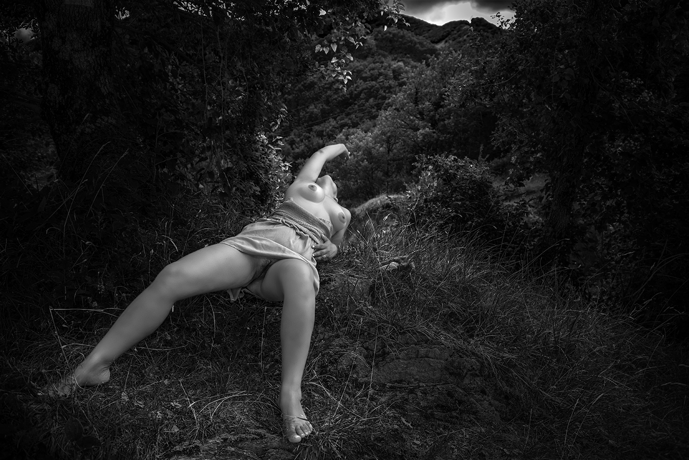 Escape in the Woods 1