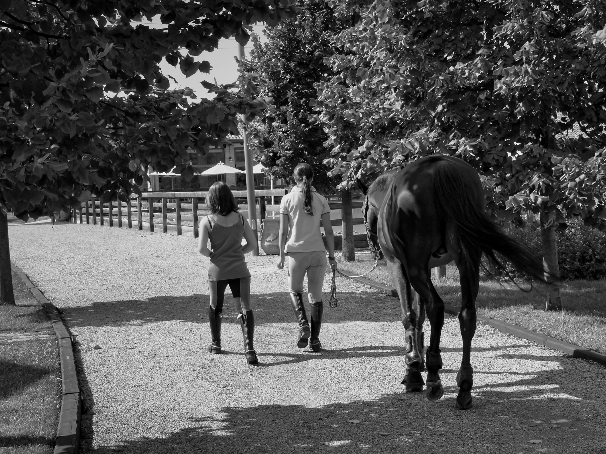 Untitled Photo