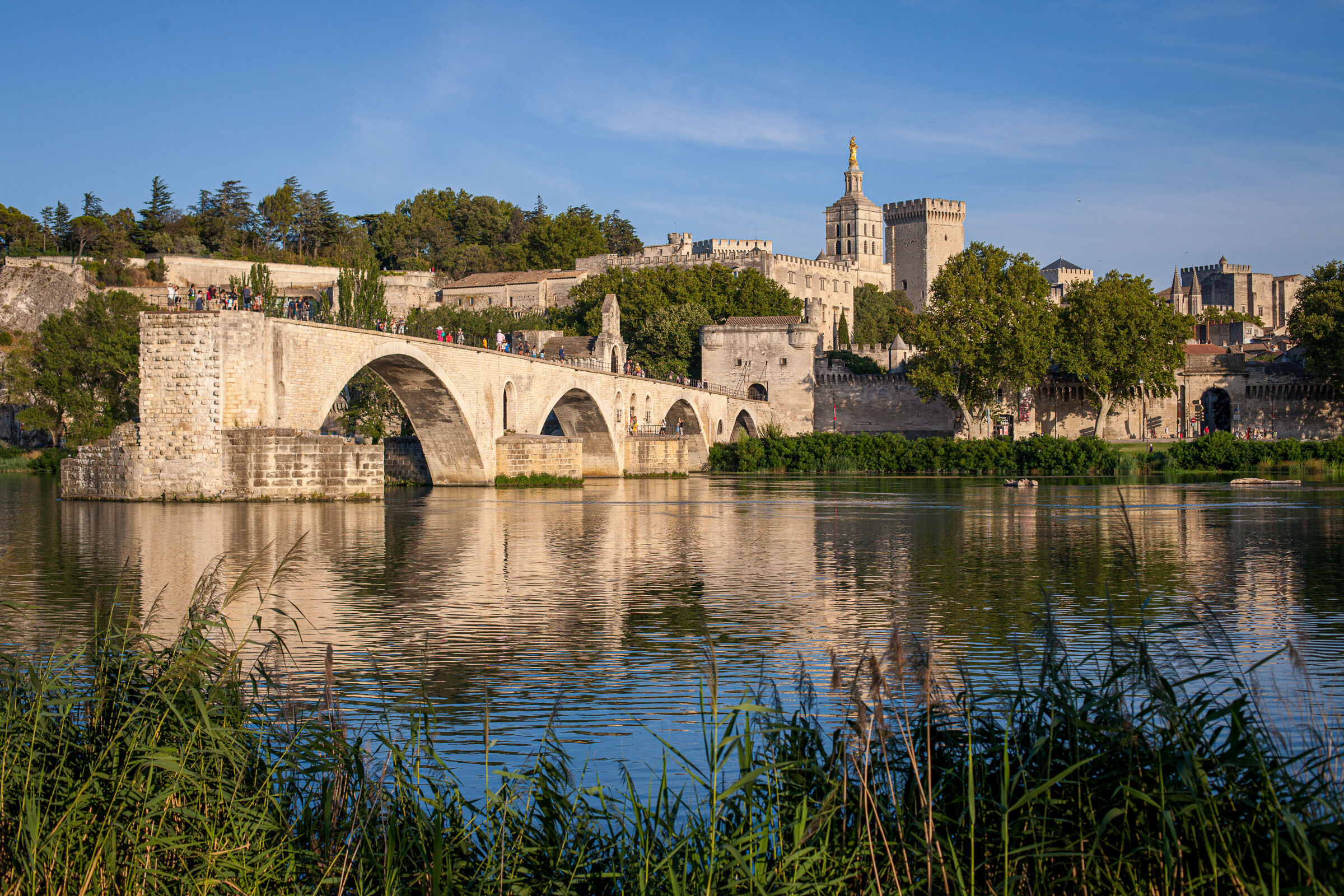 View of Avignon