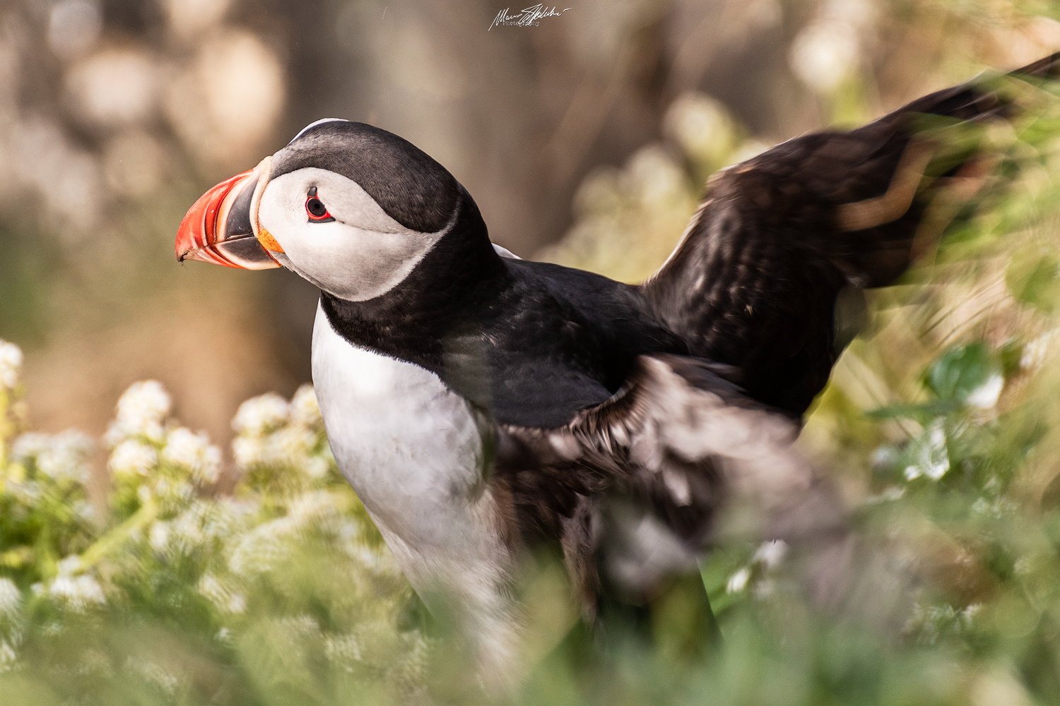 Inizia la fase di decollo