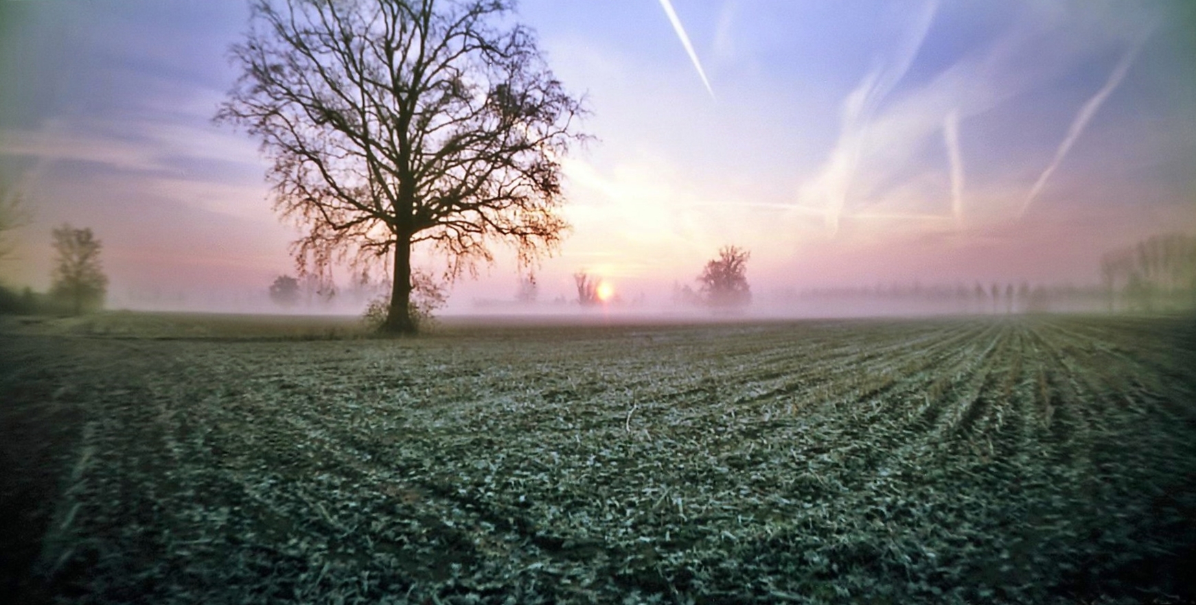 un forellino all'alba ;/)