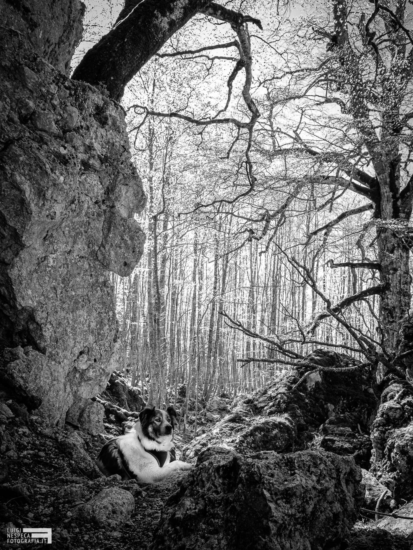 Melody nel Canyon - Gran Sasso