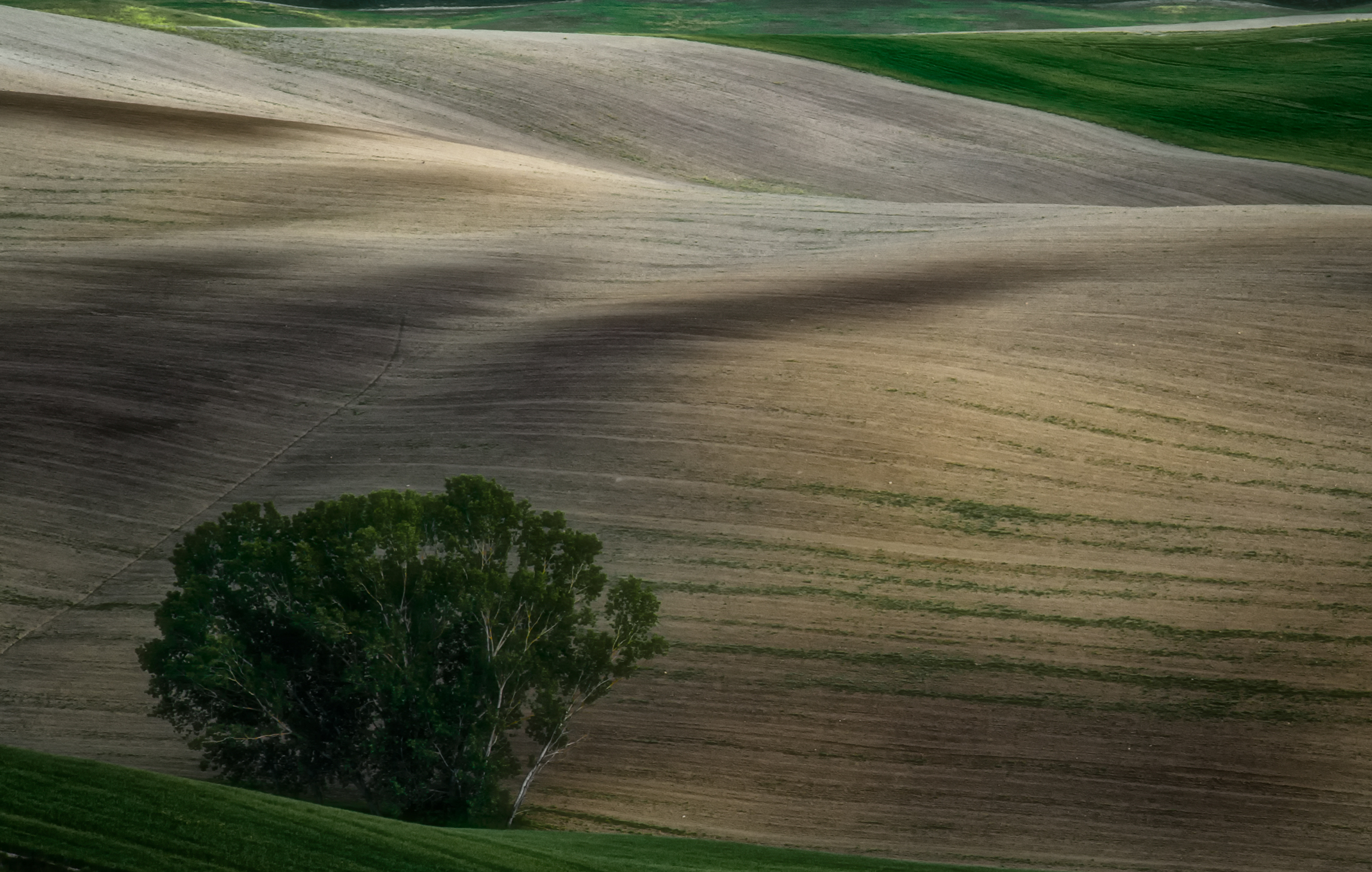 Sfumature in val D'orcia