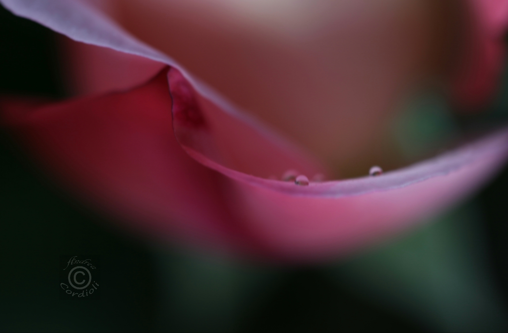 drops1