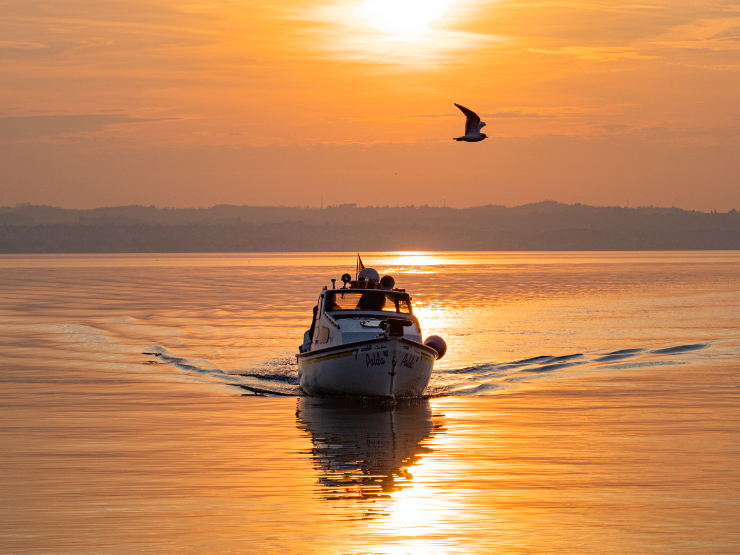 navigando ...nell'oro