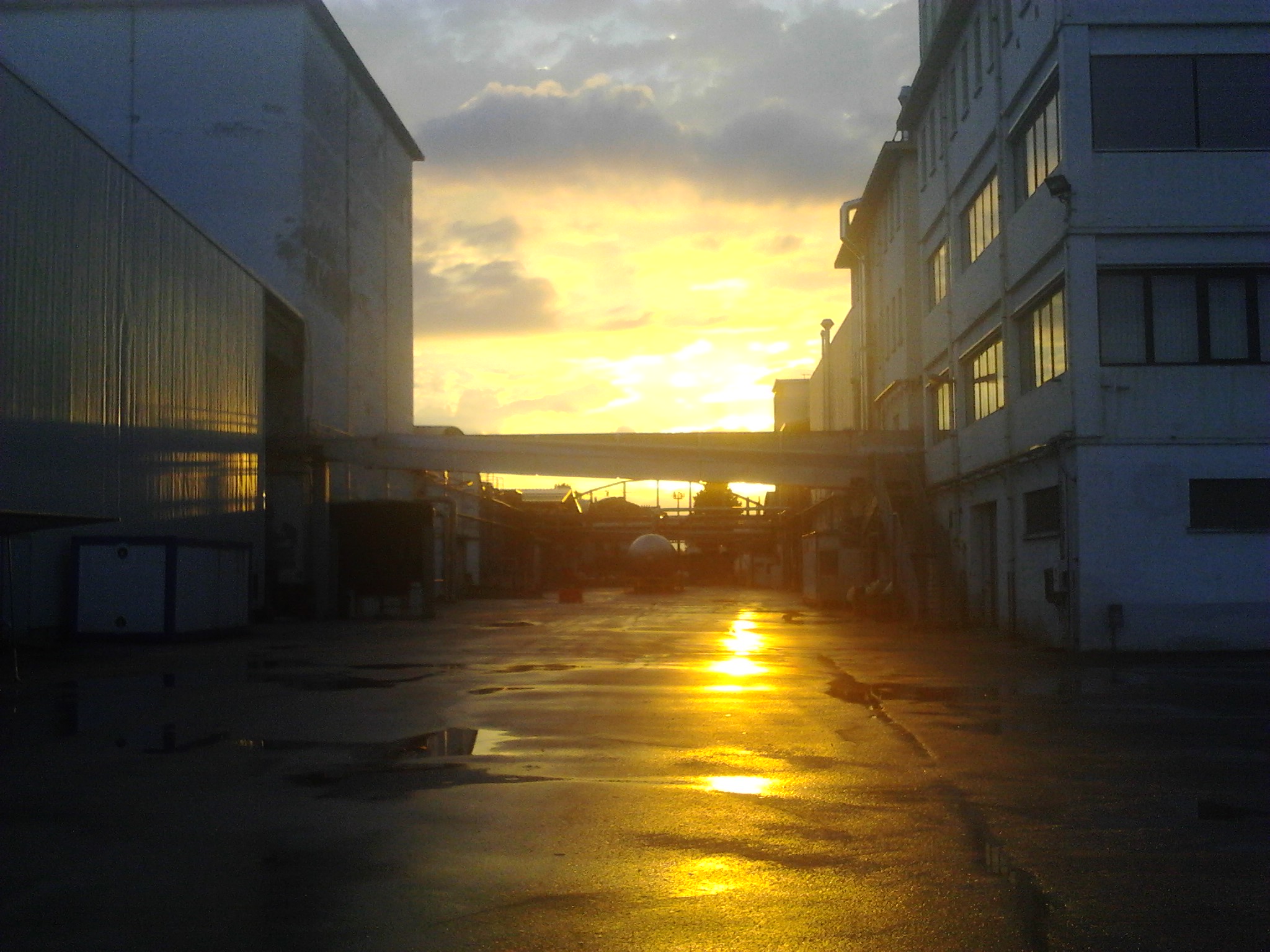 Sunset in the company