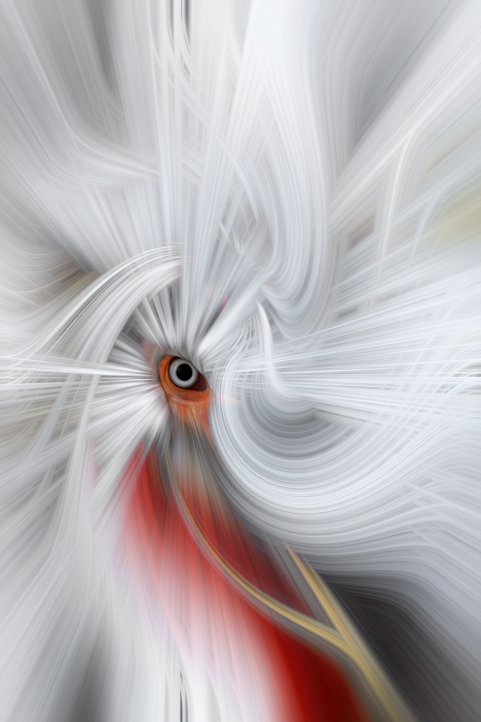 Nell'occhio della spirale