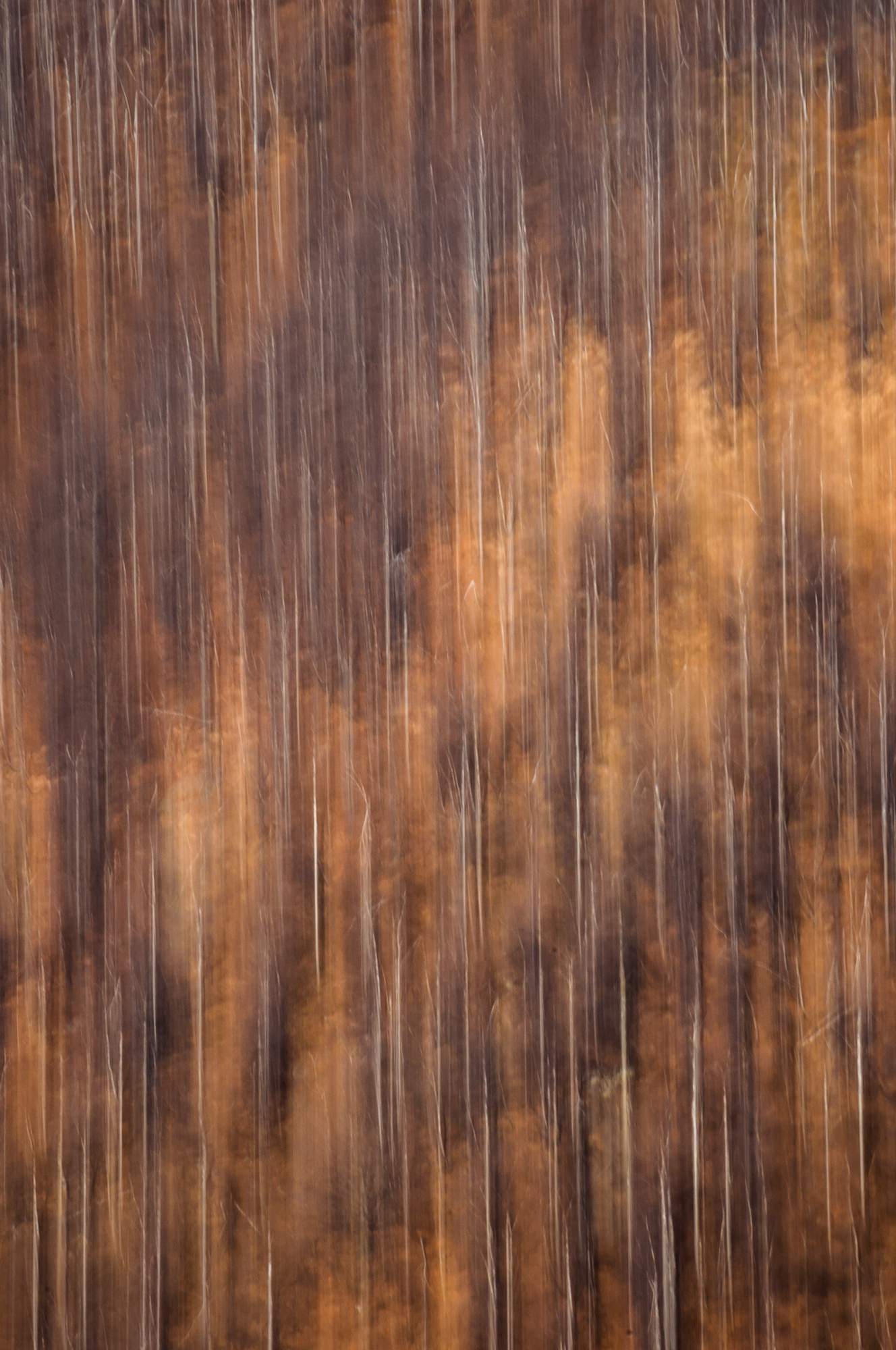 The Vertical Forest...