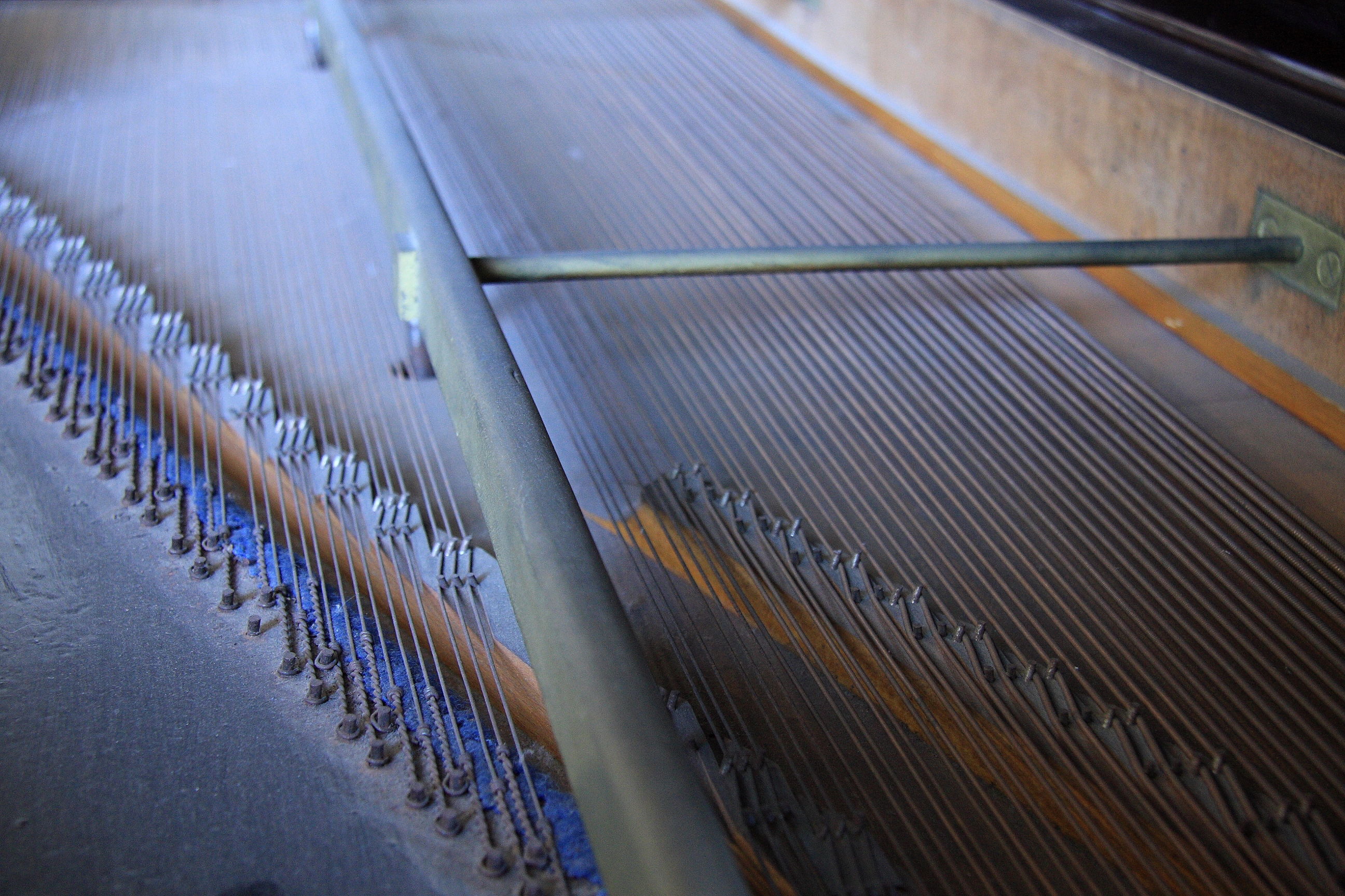 Da dove nasce il suono....