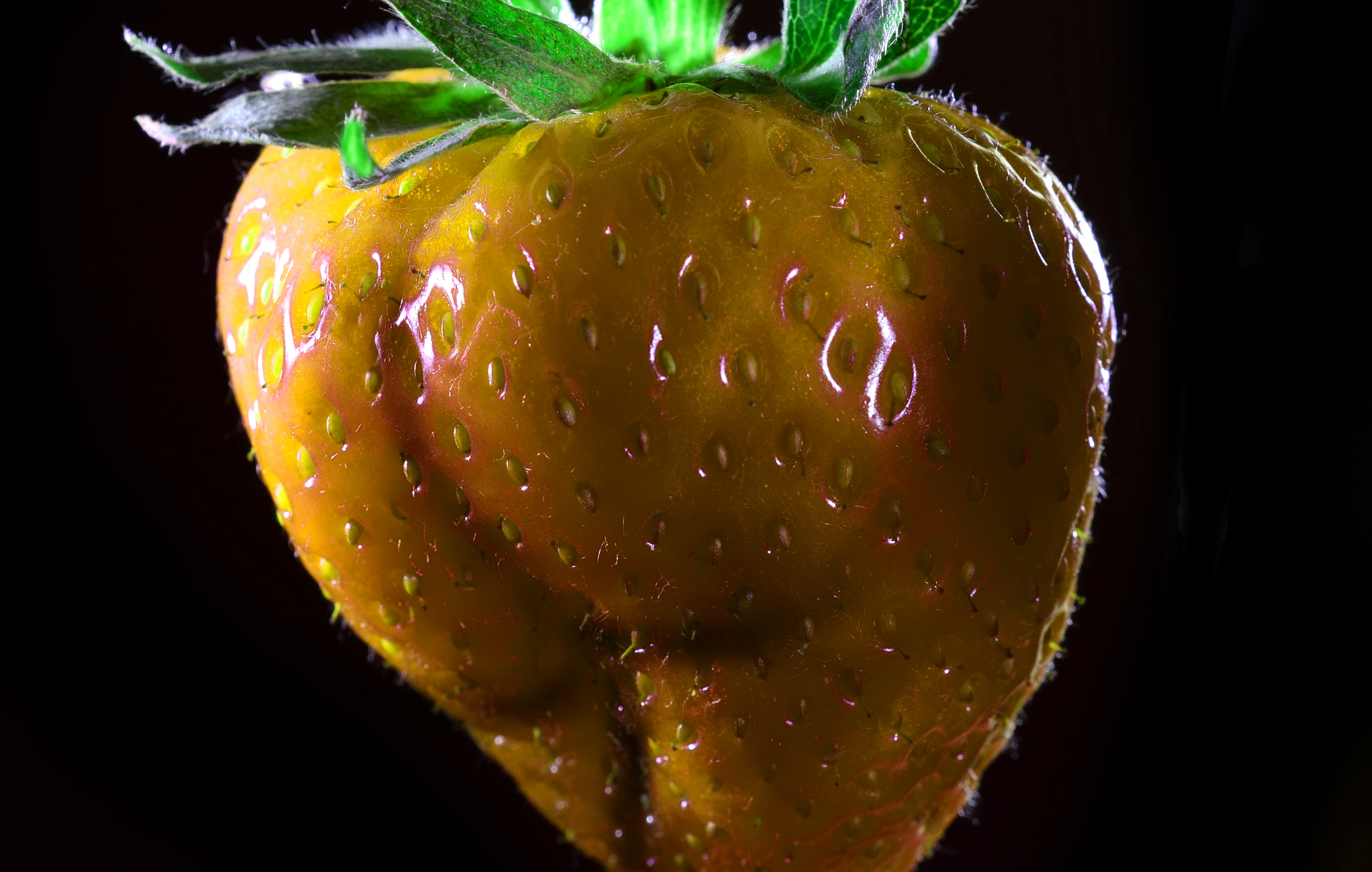 frutto a doppio senso