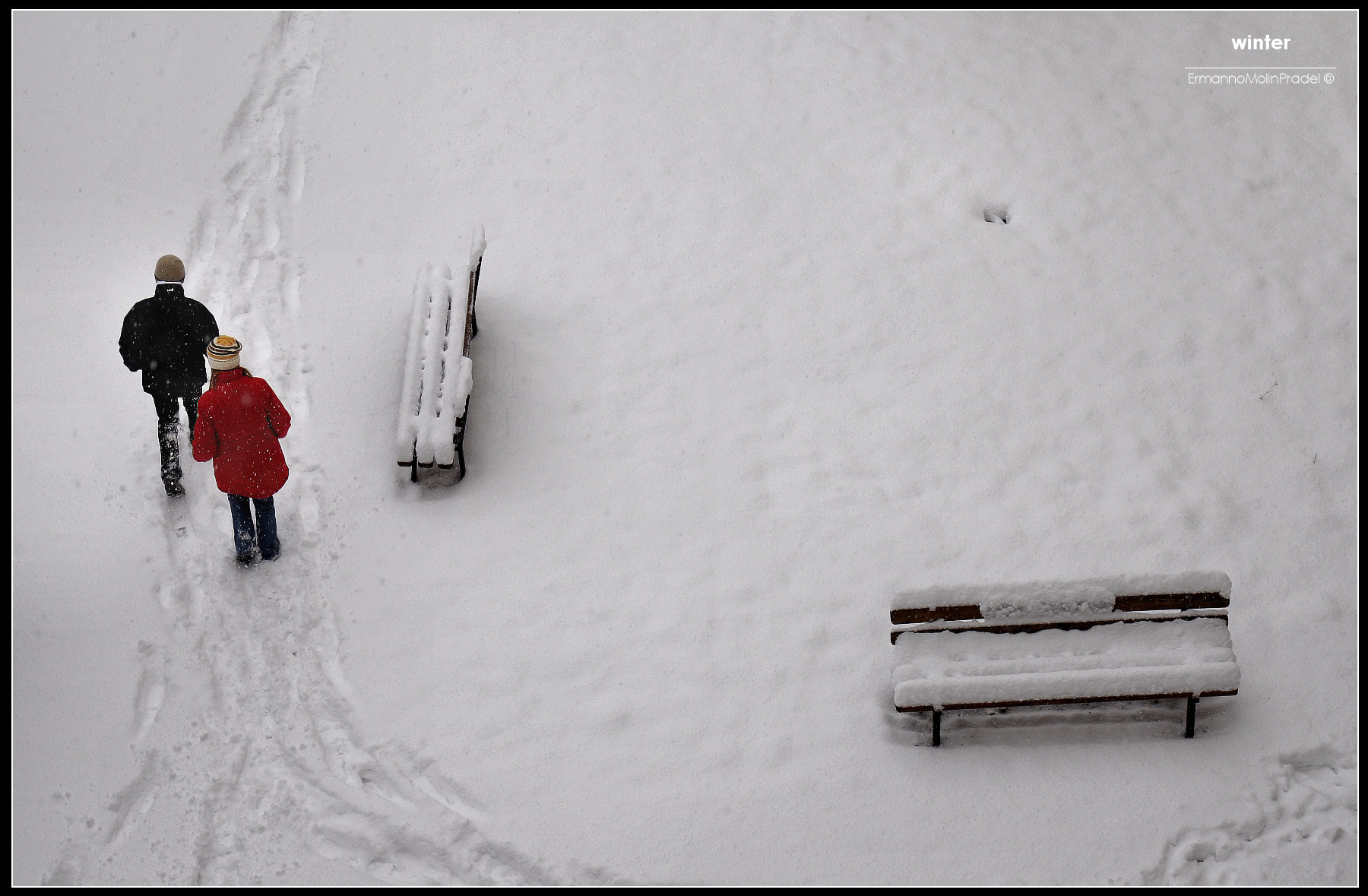 from the window of the house ..