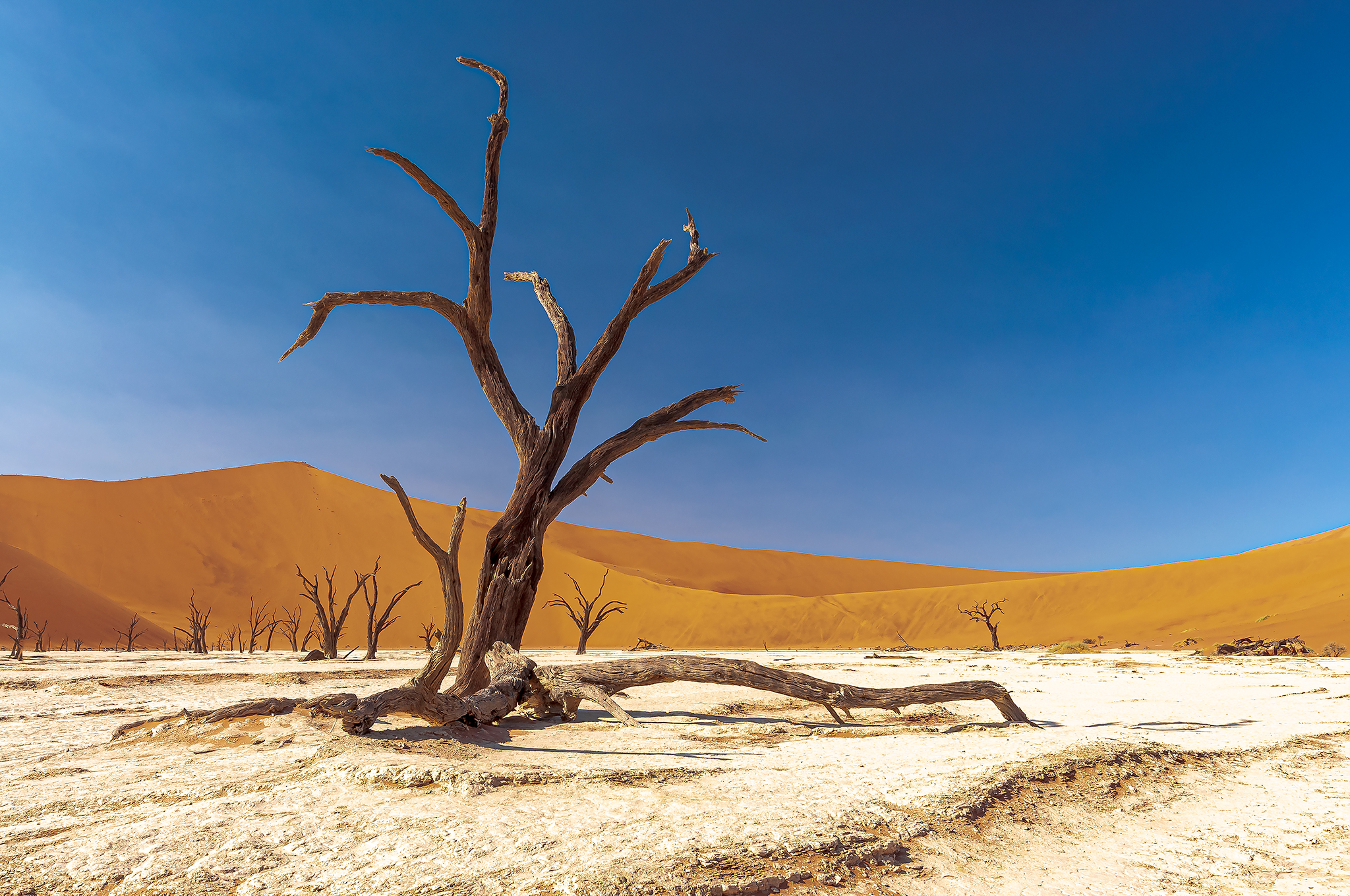 Deadvlei