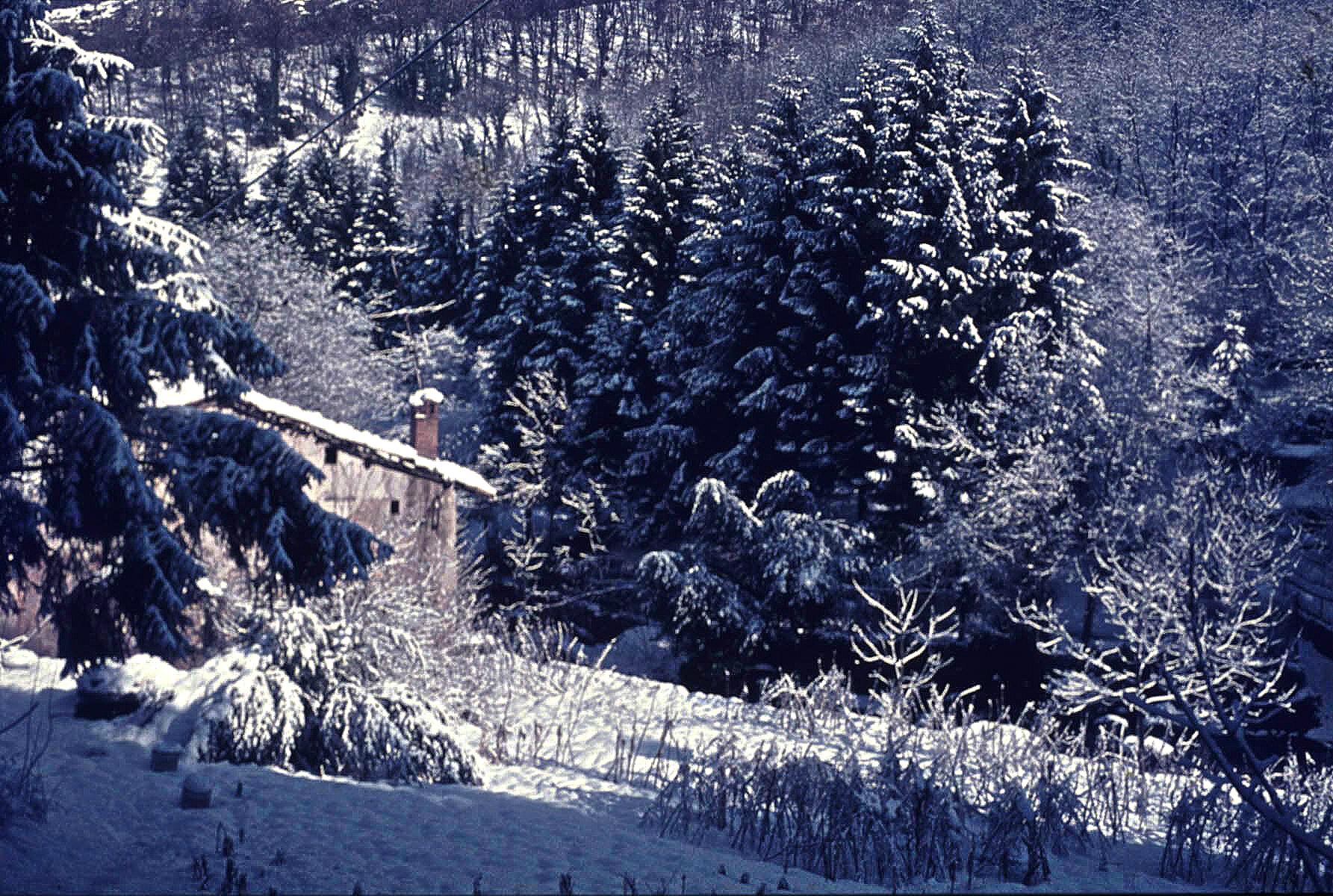 Canzo, towards Gajum