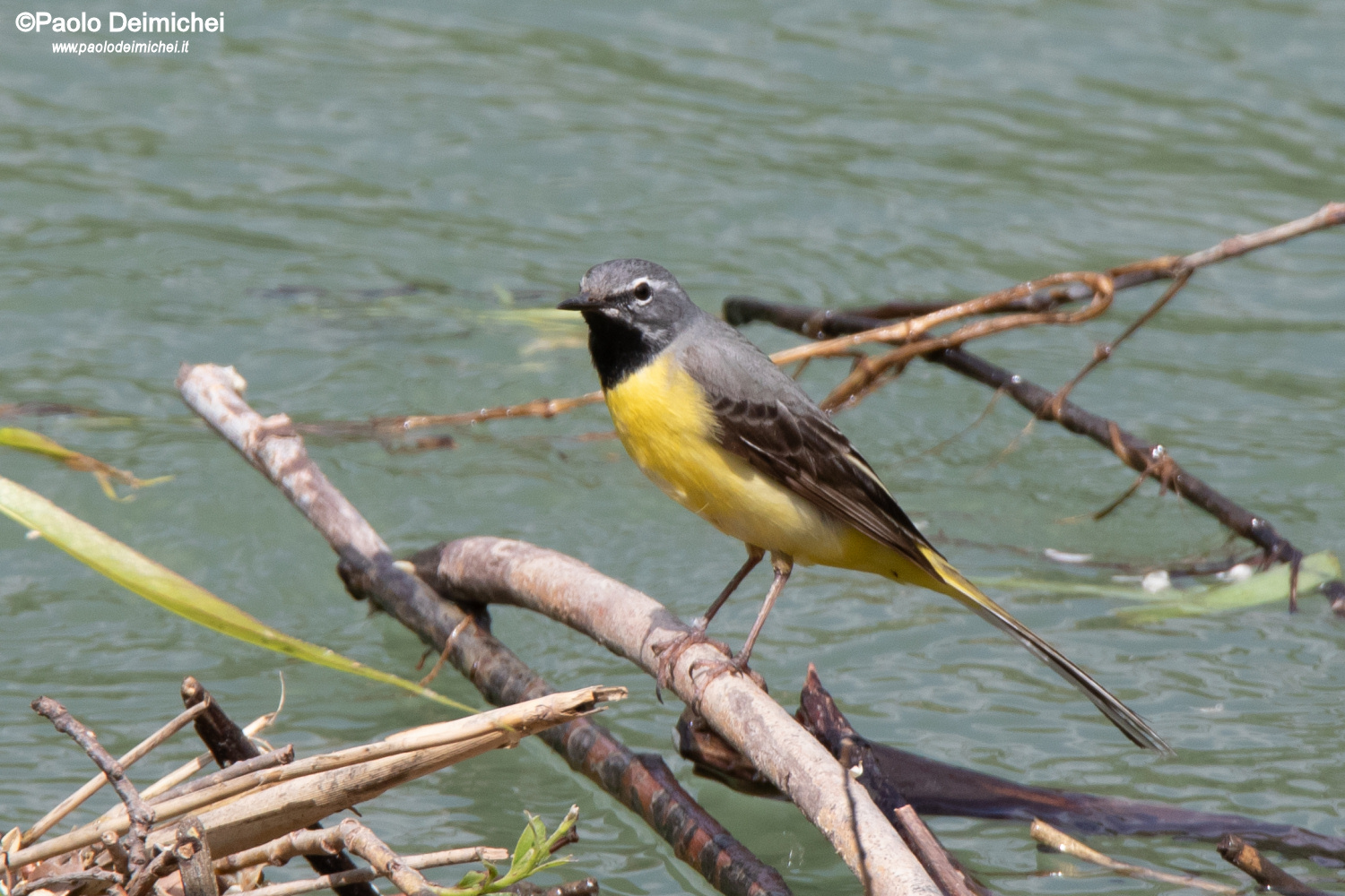 Ballerina gialla in abito nuziale