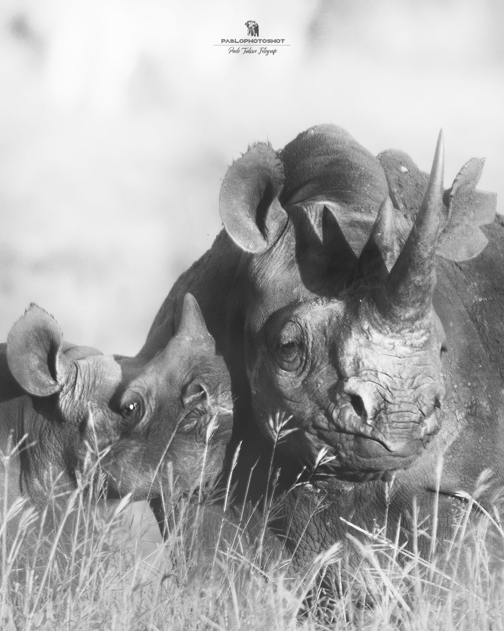 The Love of a Mother