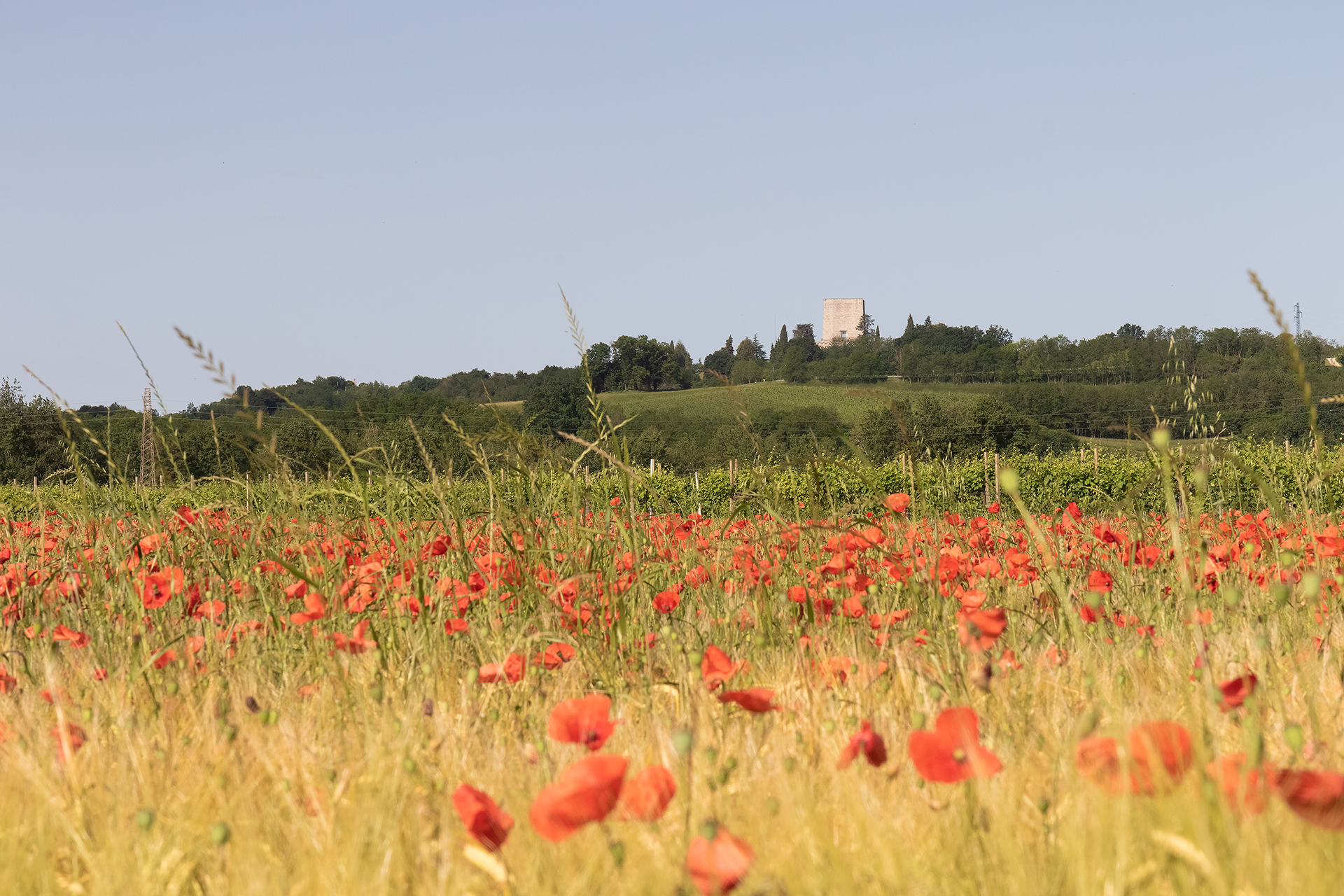 Sacred Ossario Nervesa of battle