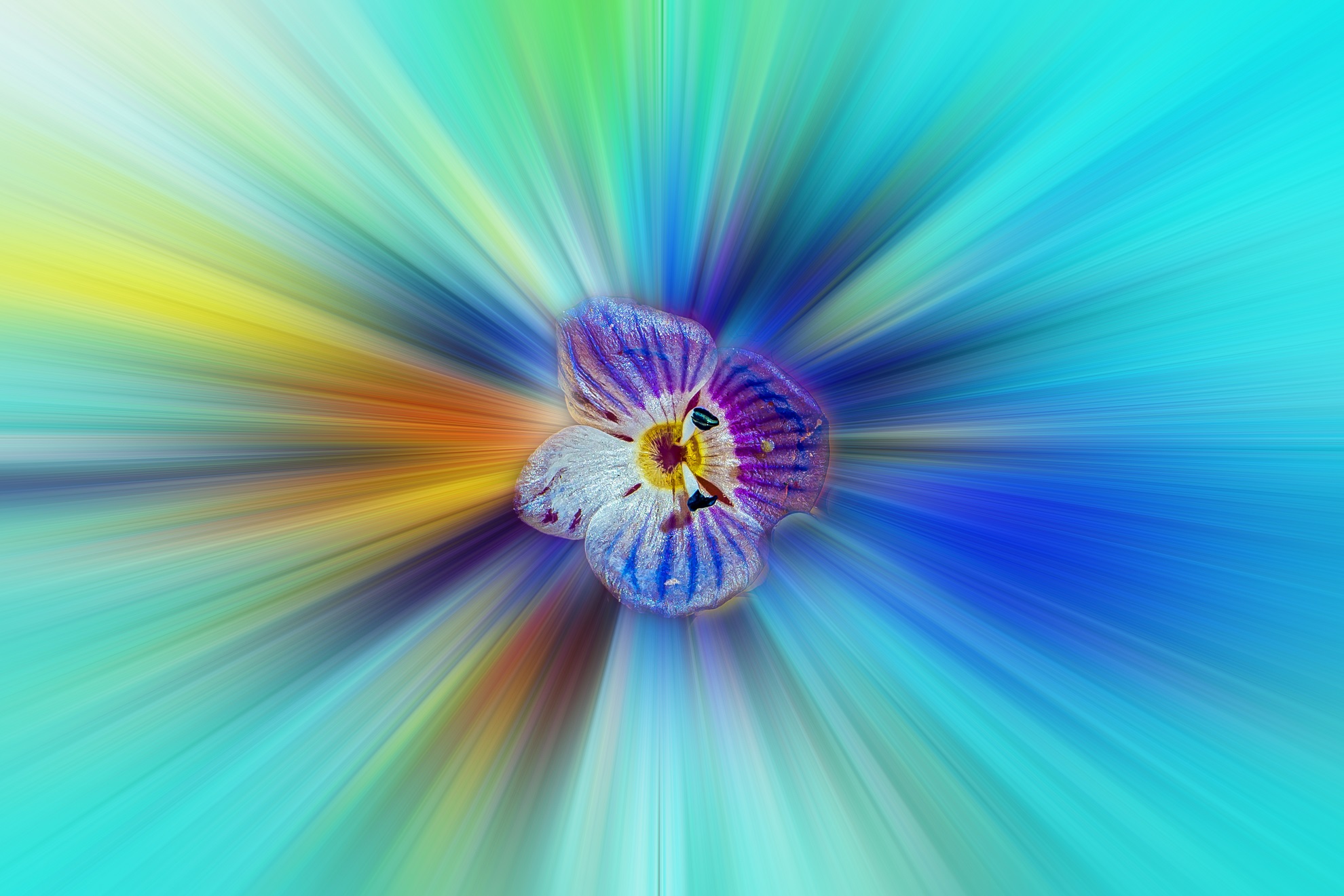 viaggio a curvatura di Veronica