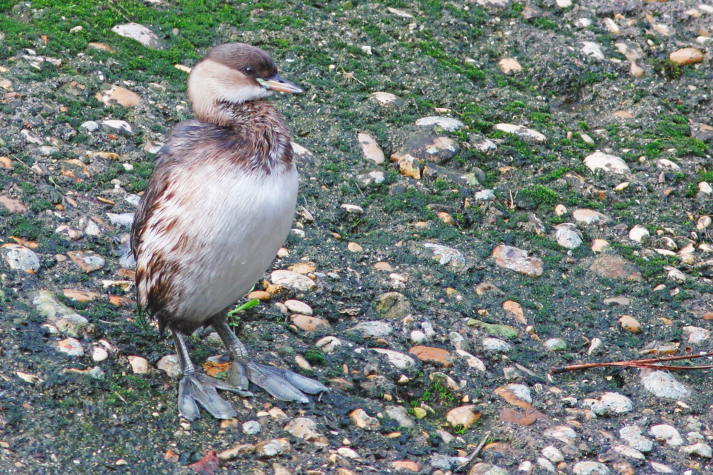 Kill that slices !!!