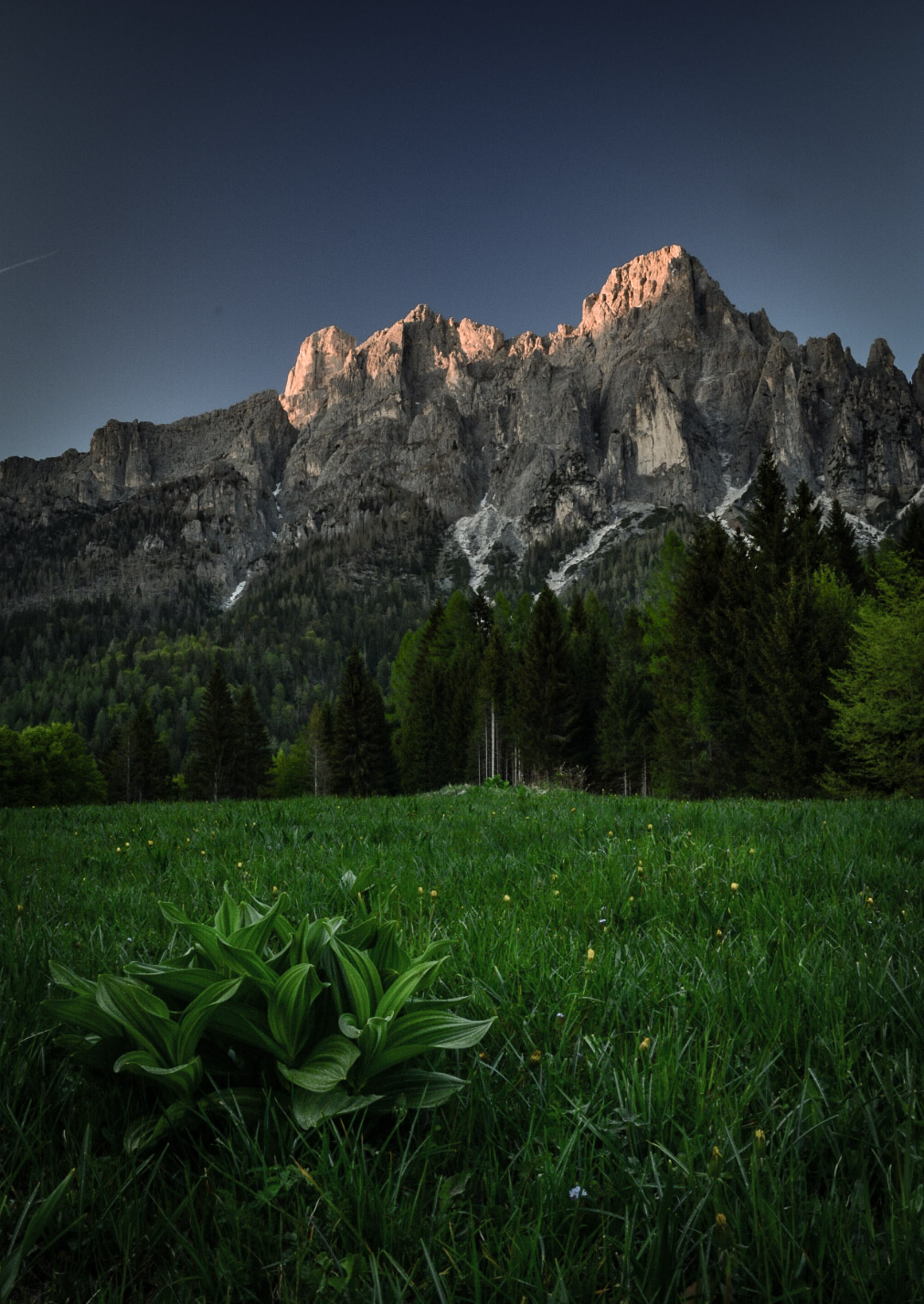 Le tonalità del Verde