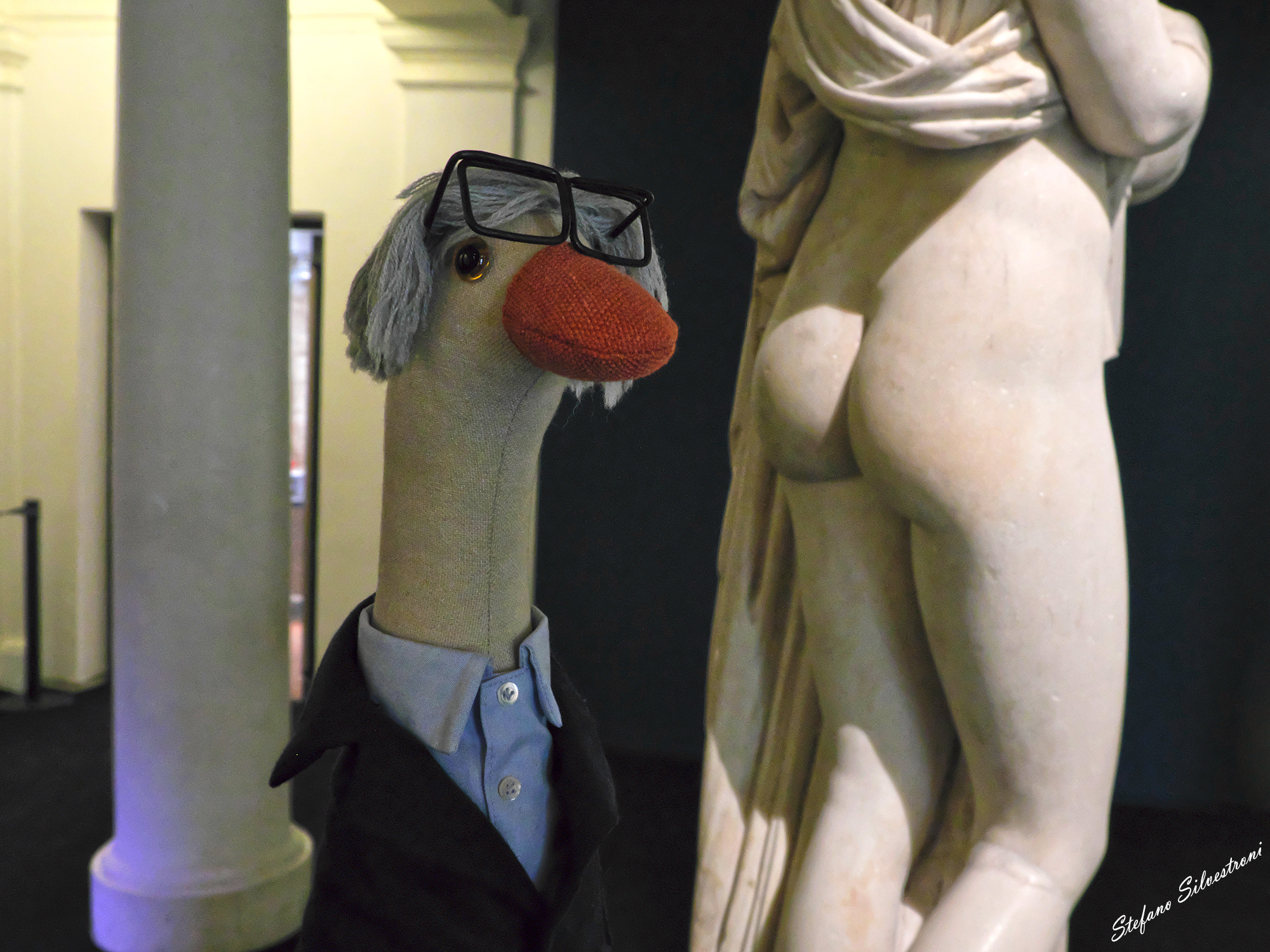 Quack! Buona fortuna...