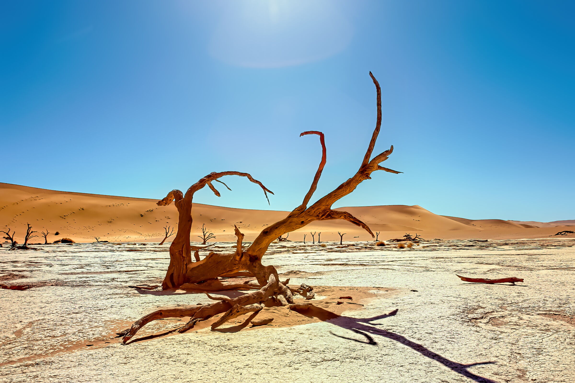 Deadvlei