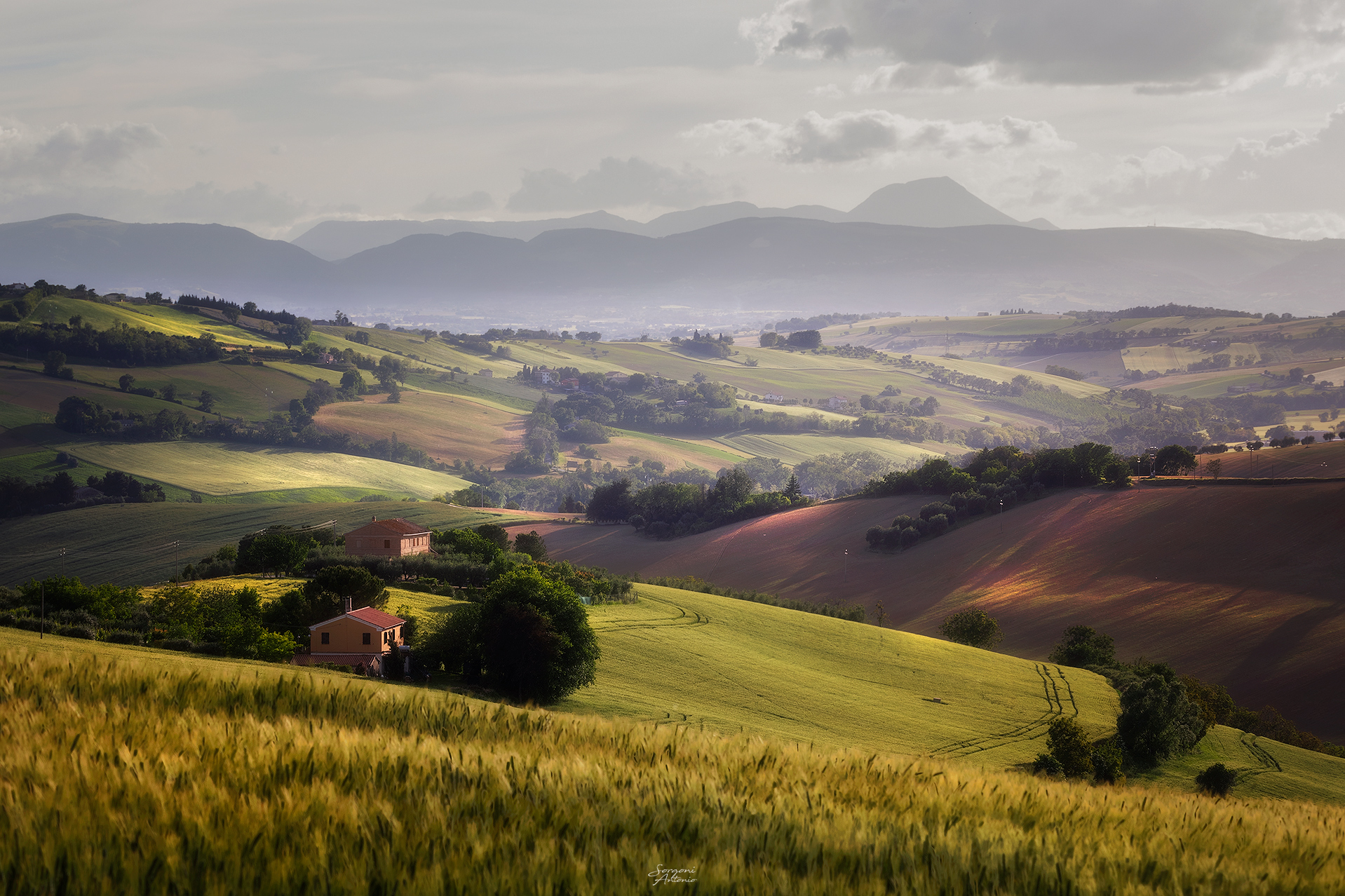 Goodbye lockdown - sunset of the Marche countryside