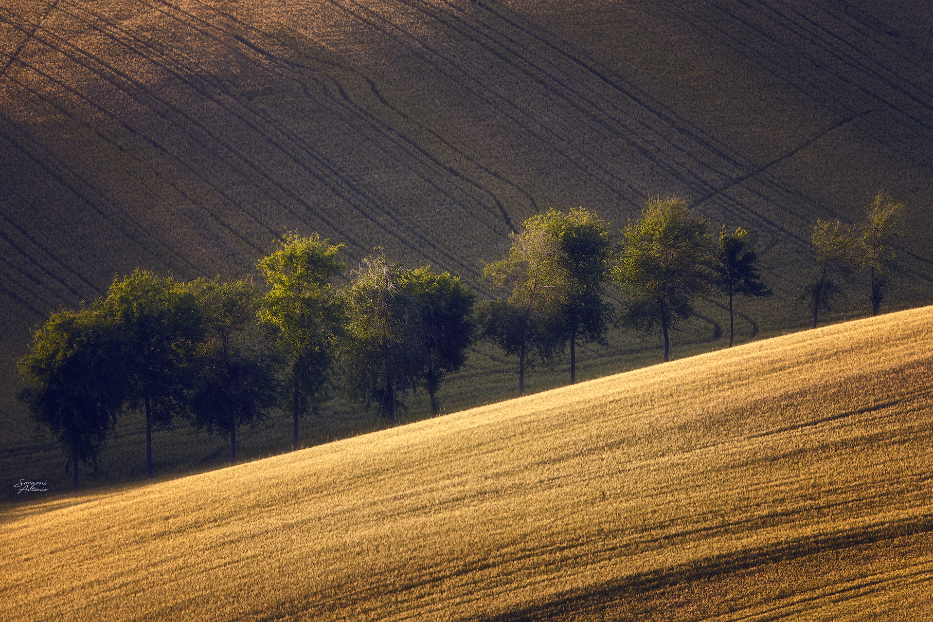 Goodbye lockdown - sunset of the Marche countryside