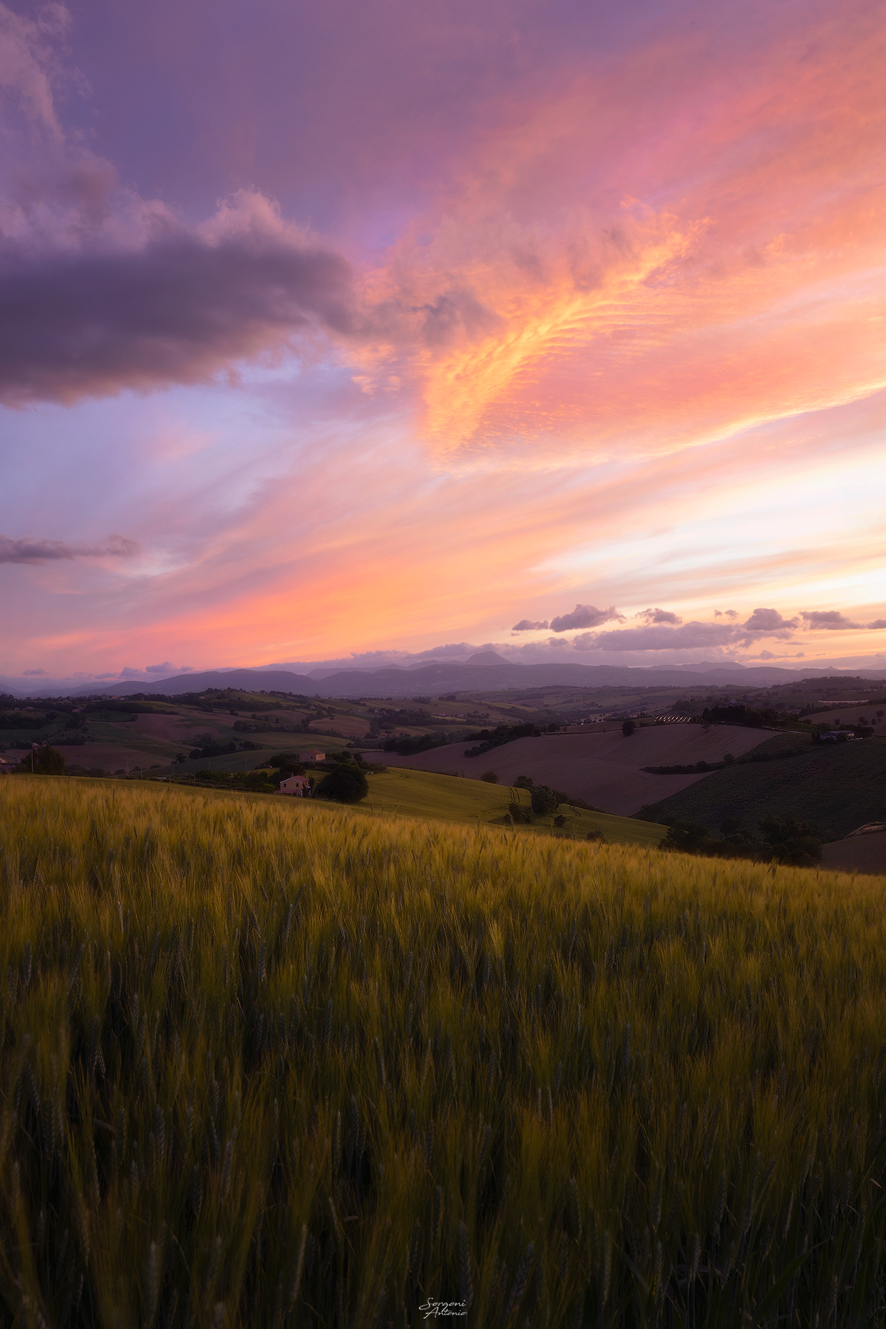 Goodbye lockdown - sunset of the Marche countryside