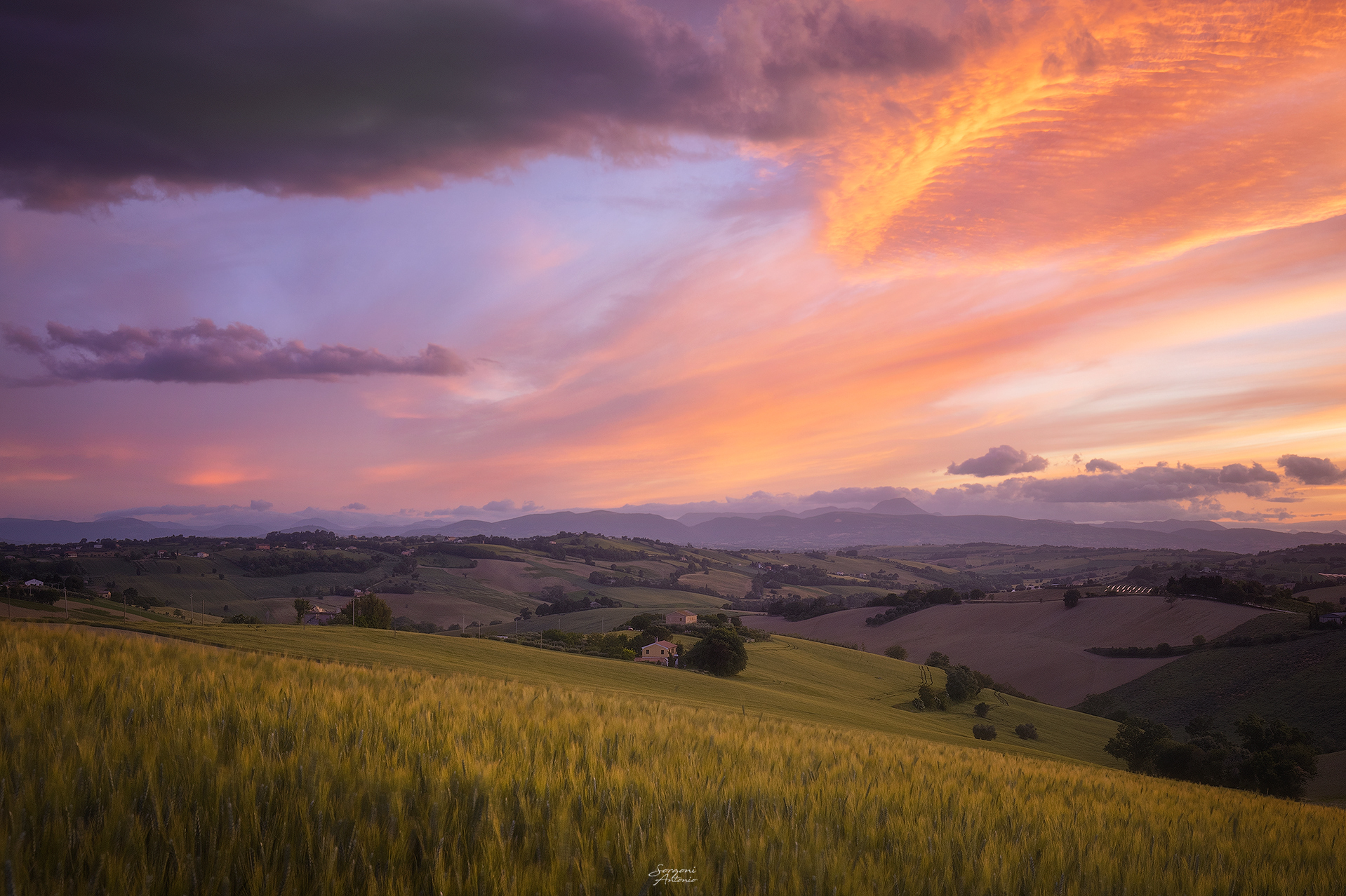 Addio lockdown - tramonto delle campagne marchigiane