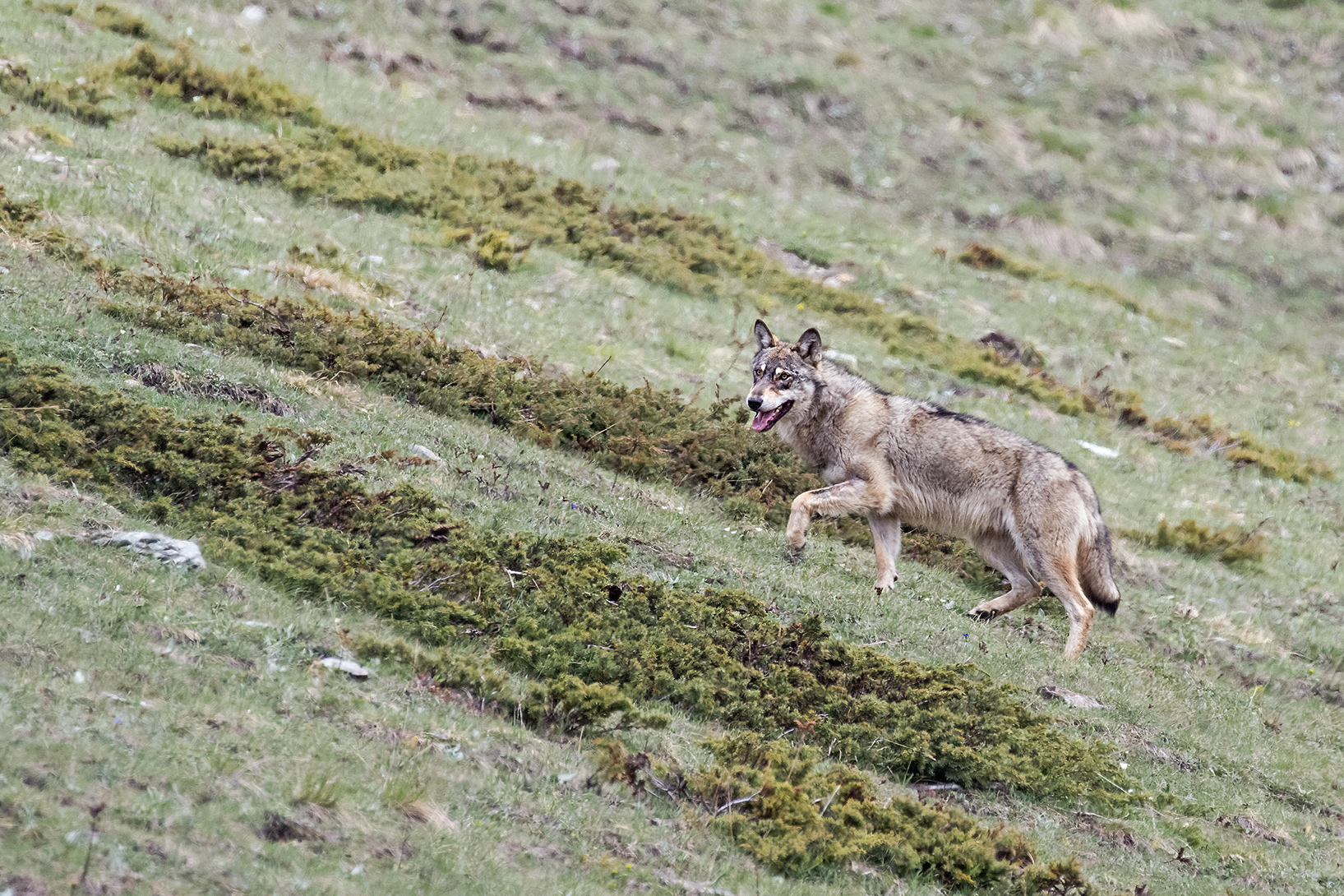 un incontro fortunato