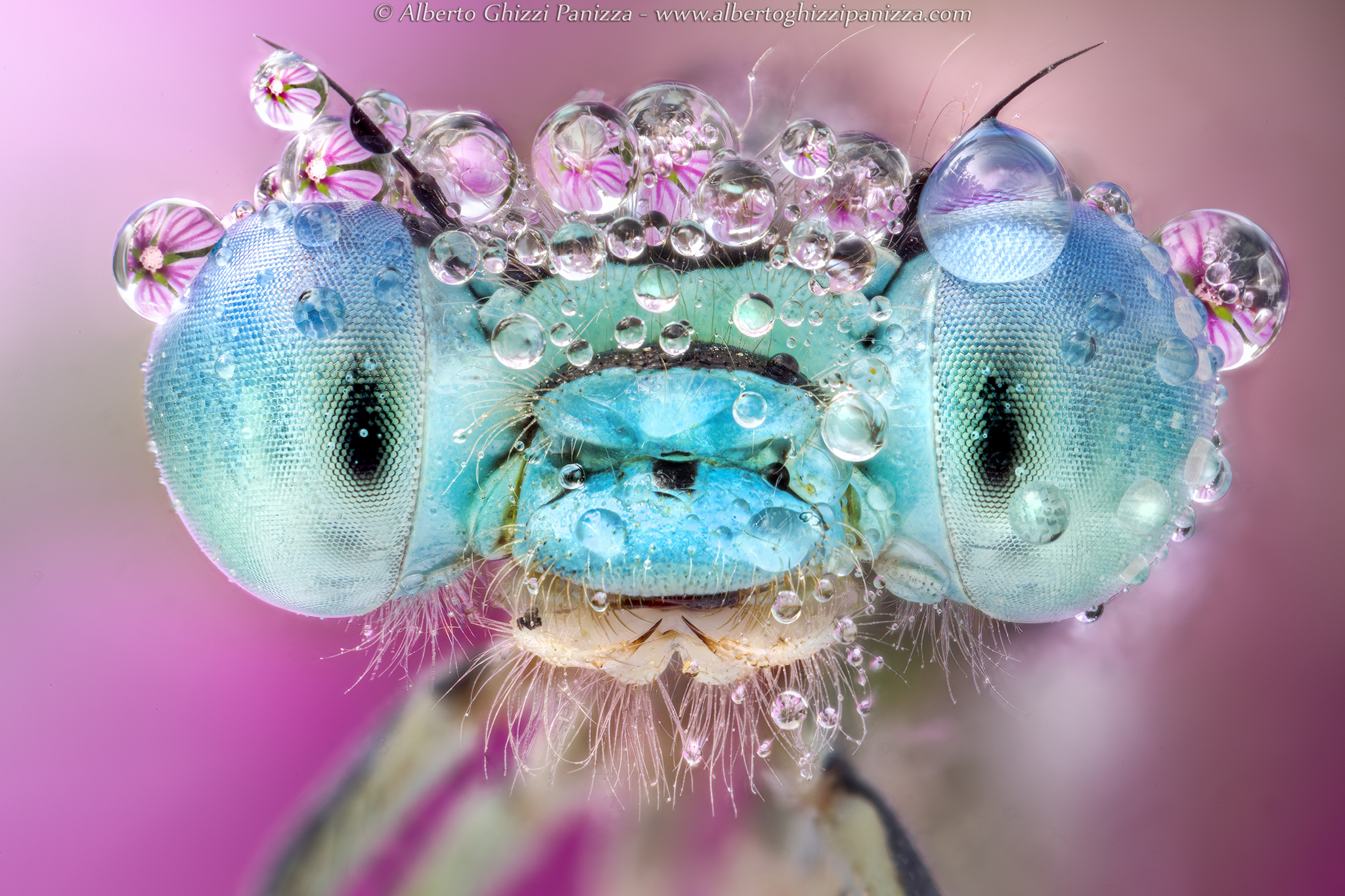 La prima damigella dell'anno! :D