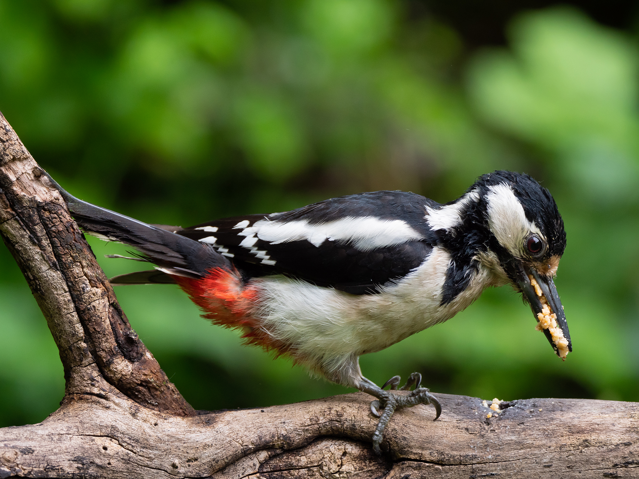 Mamma fa la spesa per i piccoli ...