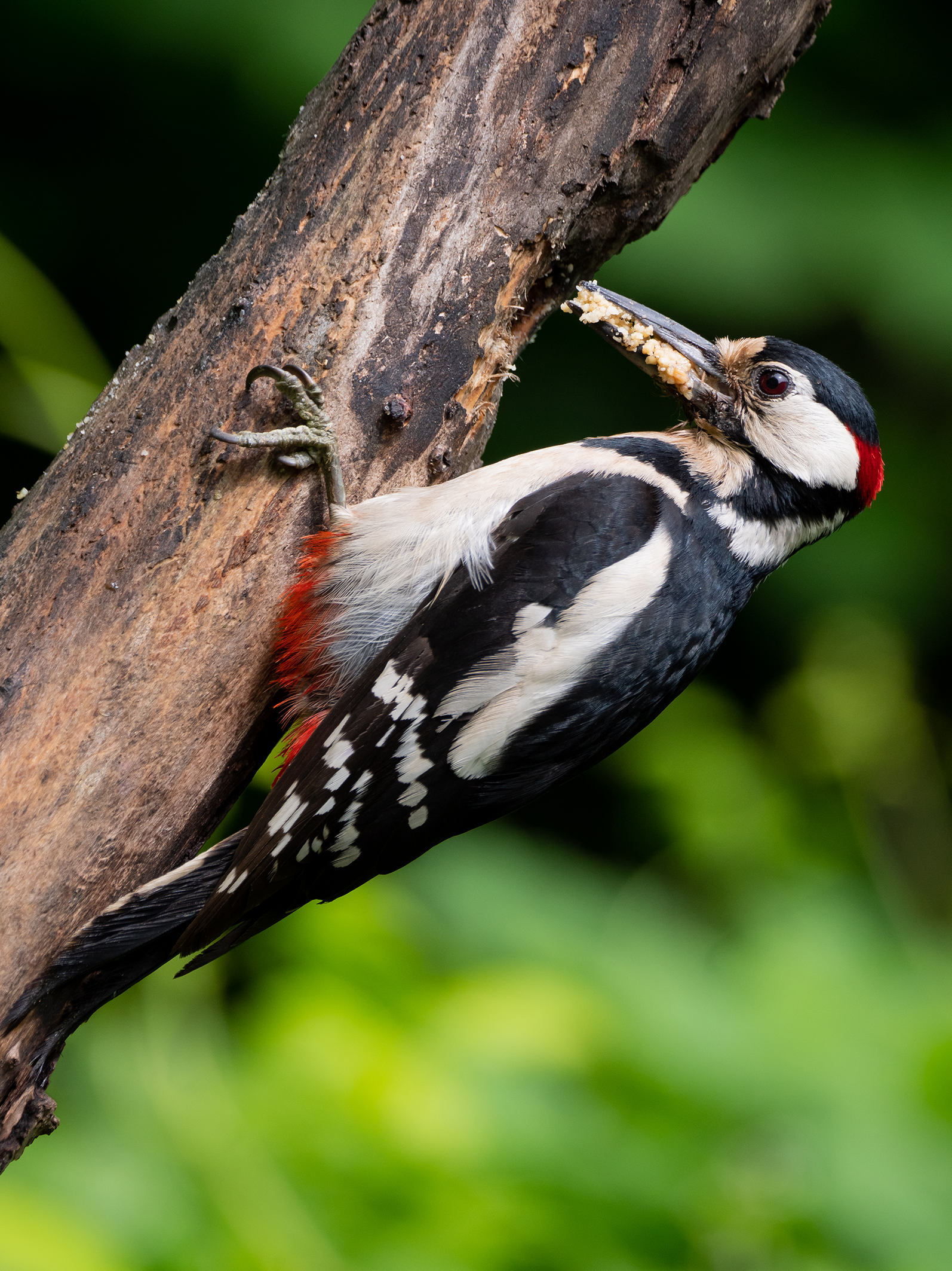 ... but dad's no less.